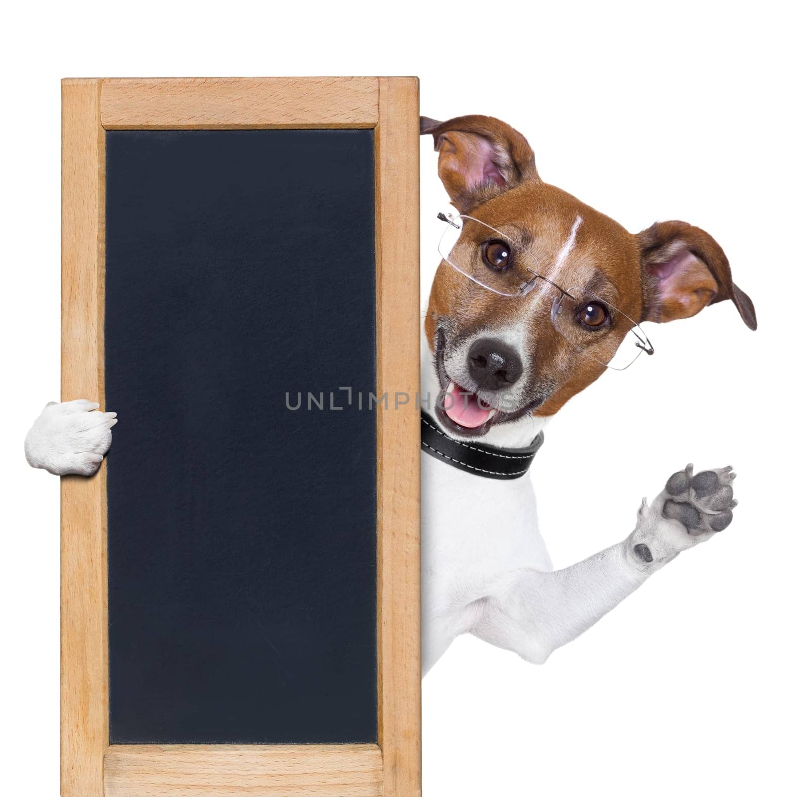 dog behind a blackboard banner waving