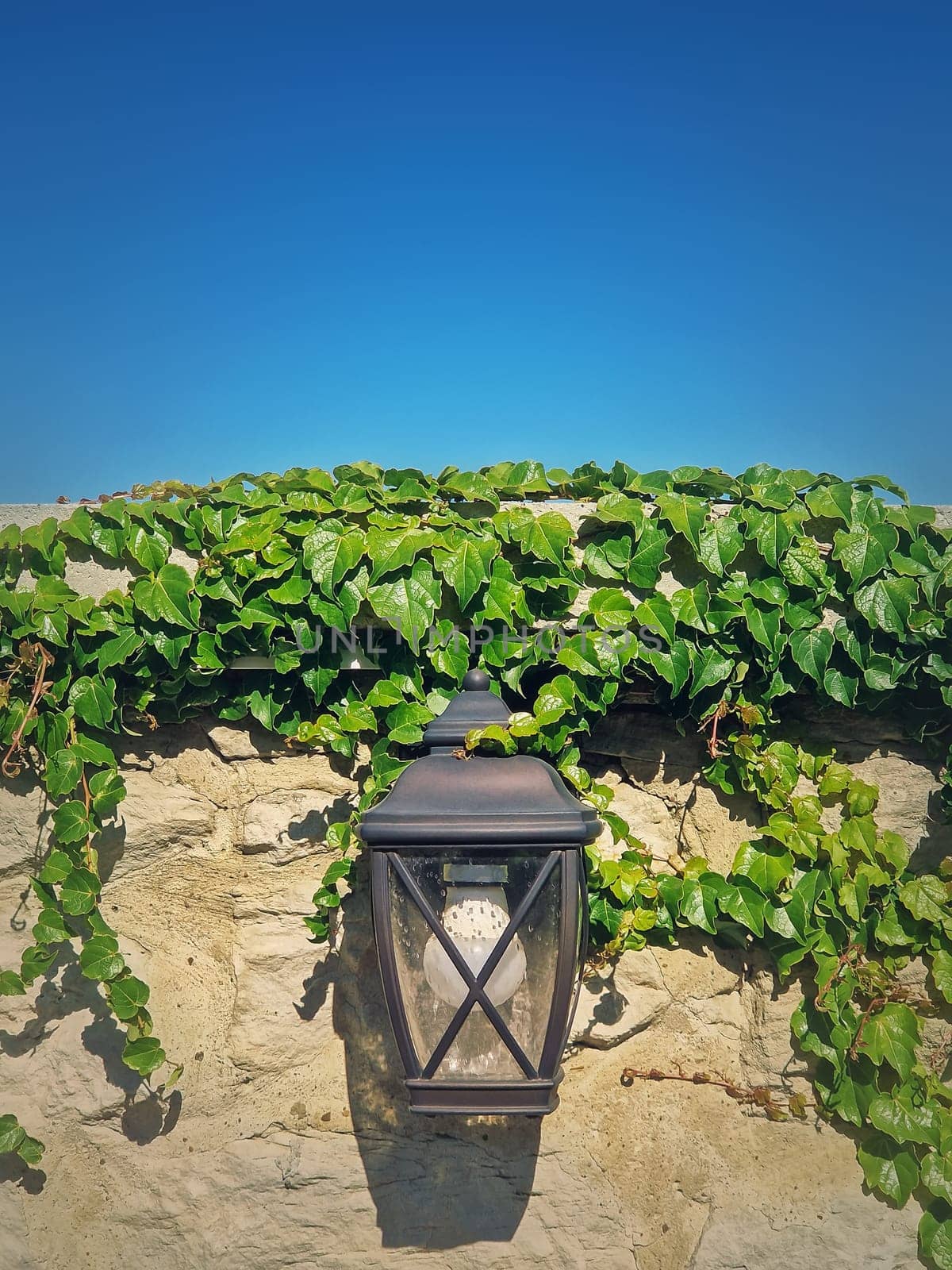 Vintage street lamp hang on an old stone masonry hedge overgrown with wild vines
