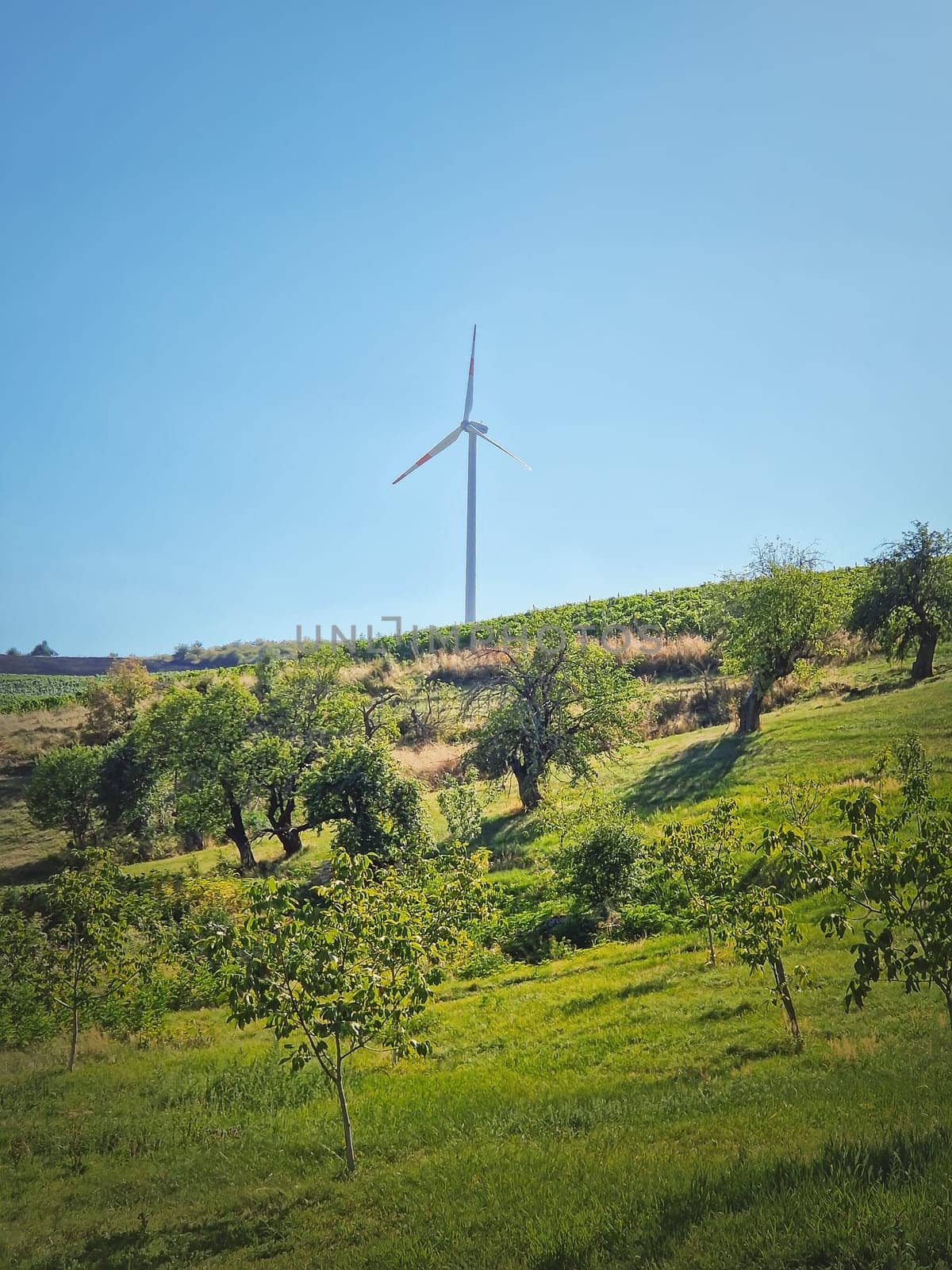 Wind turbine on the top of a hill over the country valley with vineyard and fruit trees. Green energy conservation and environmental concepts