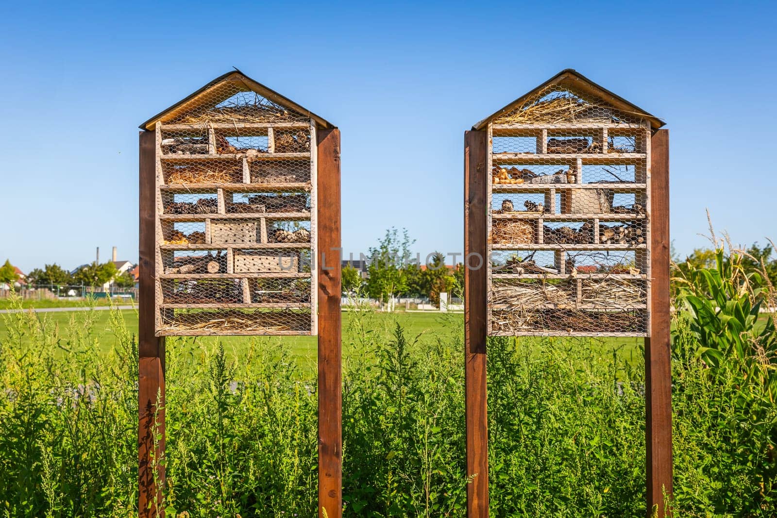 Two wooden bug insect house hotel in a field, bio diversity