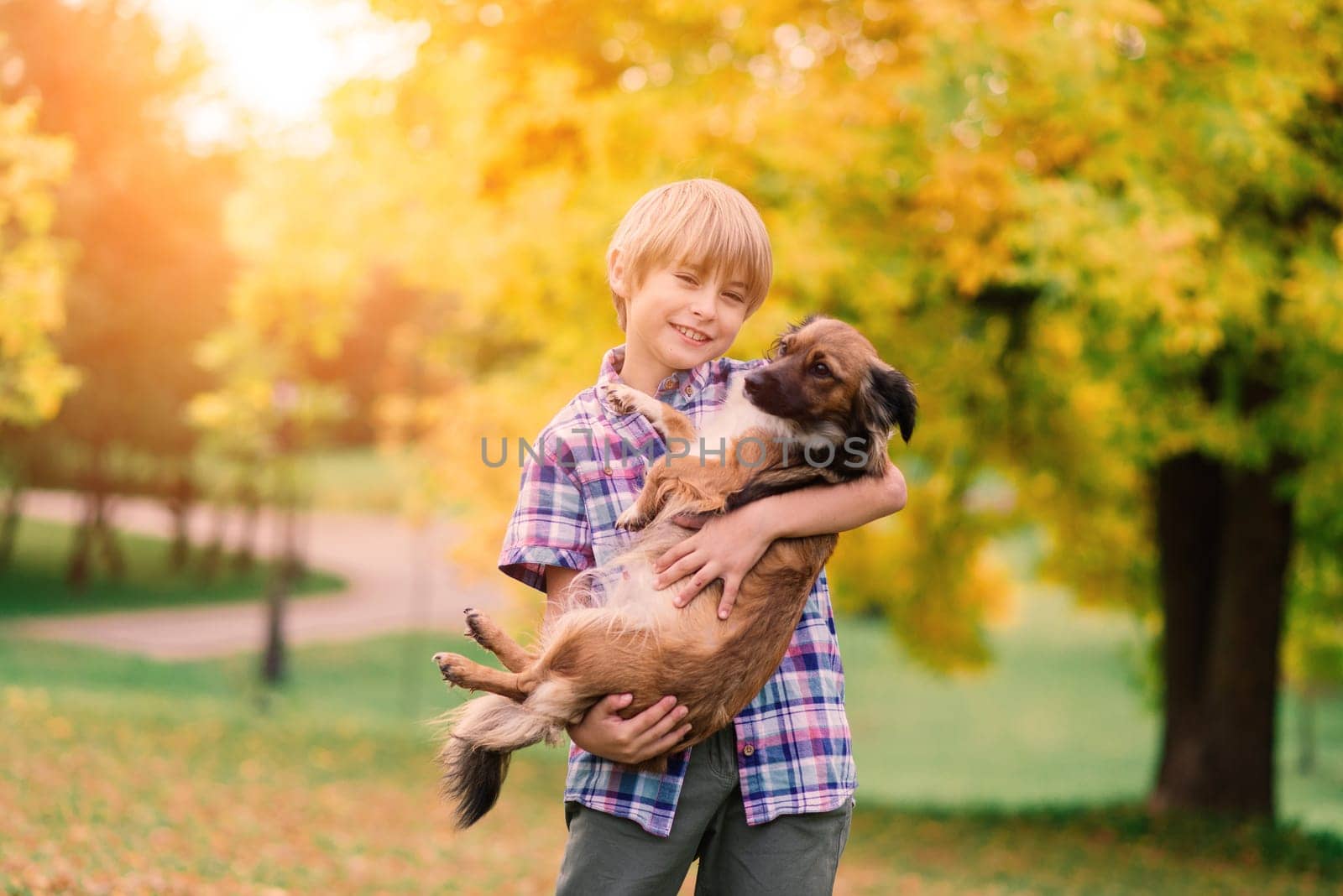 Boy hugging a dog and plyaing with in the fall, city park