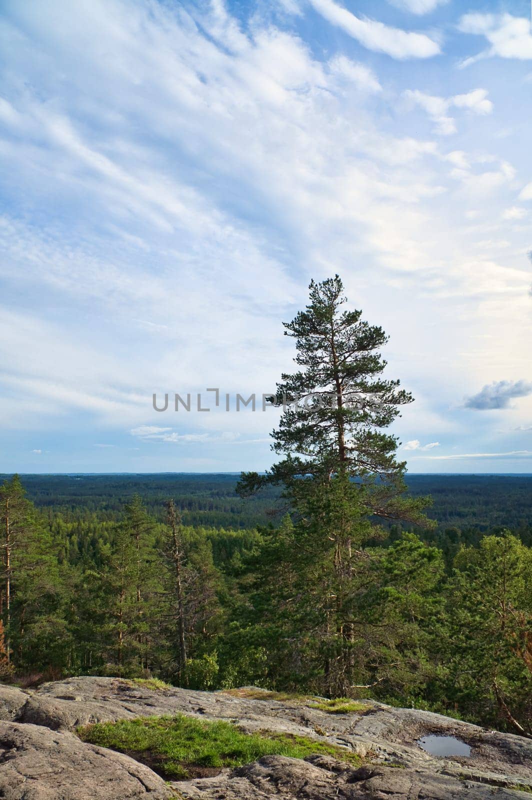 Skurugata in Smaland, Sweden. Viewpoint with view over forests in Scandinavia. Hiking trail over rocks and through forests. Destination