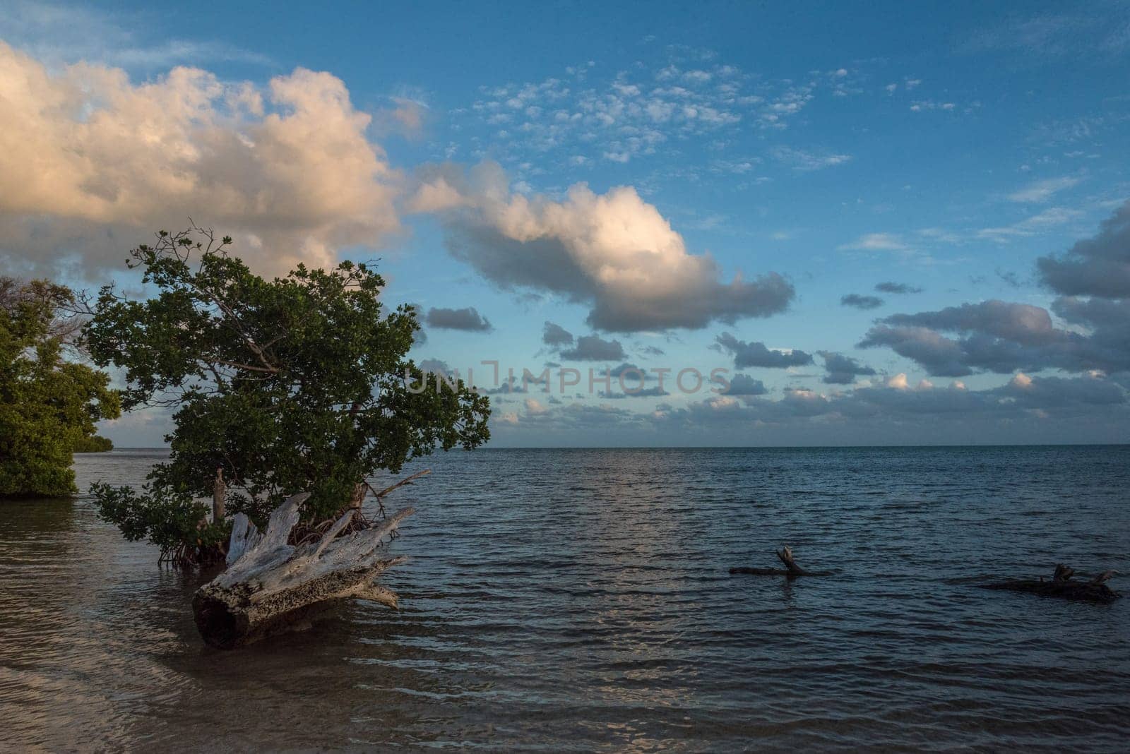 Sunset over the Everglades National Park, USA