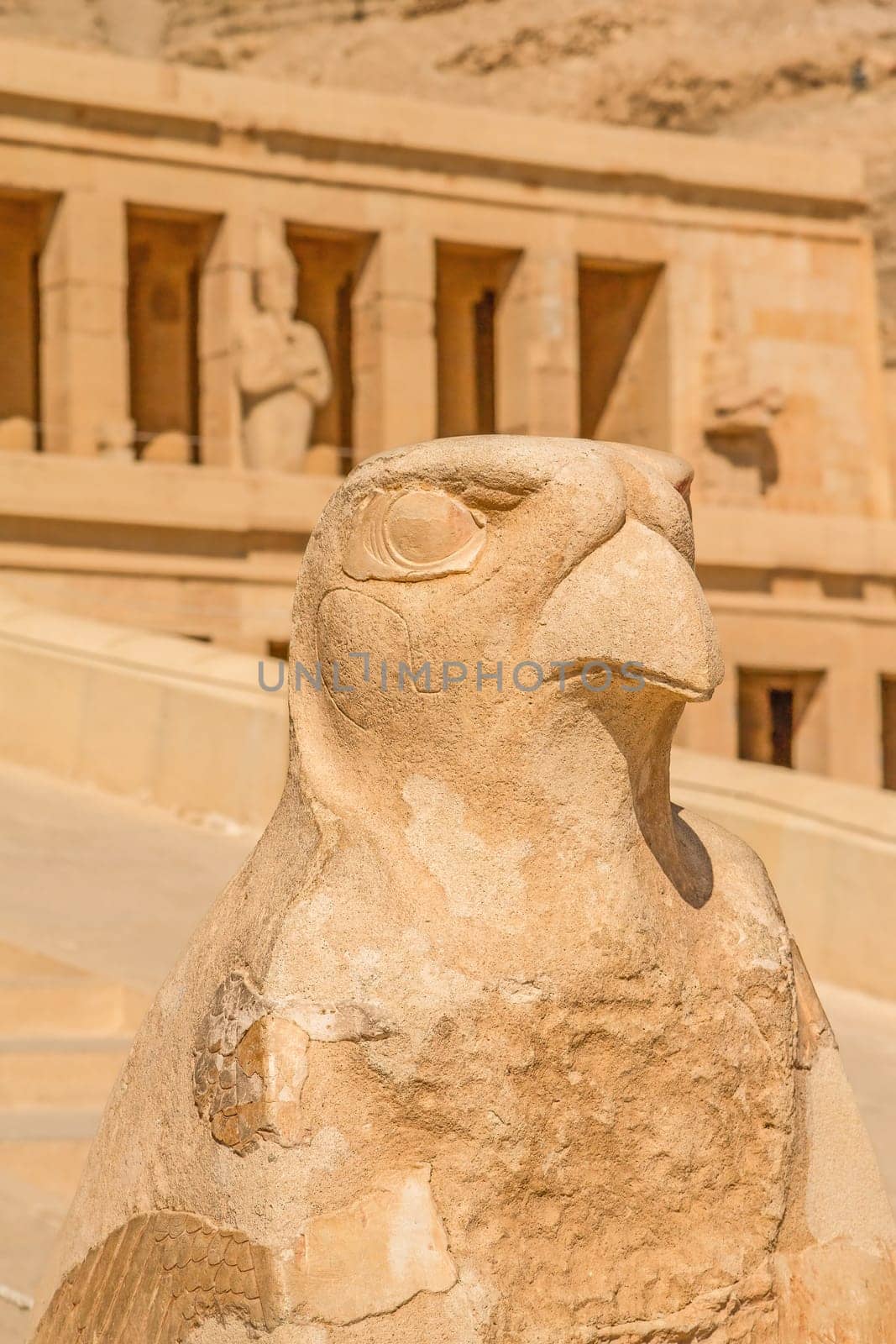 Horus Statue in front of Famous  Mortuary Temple of Hatshepsut  In Thebes Egypt  Vertically.