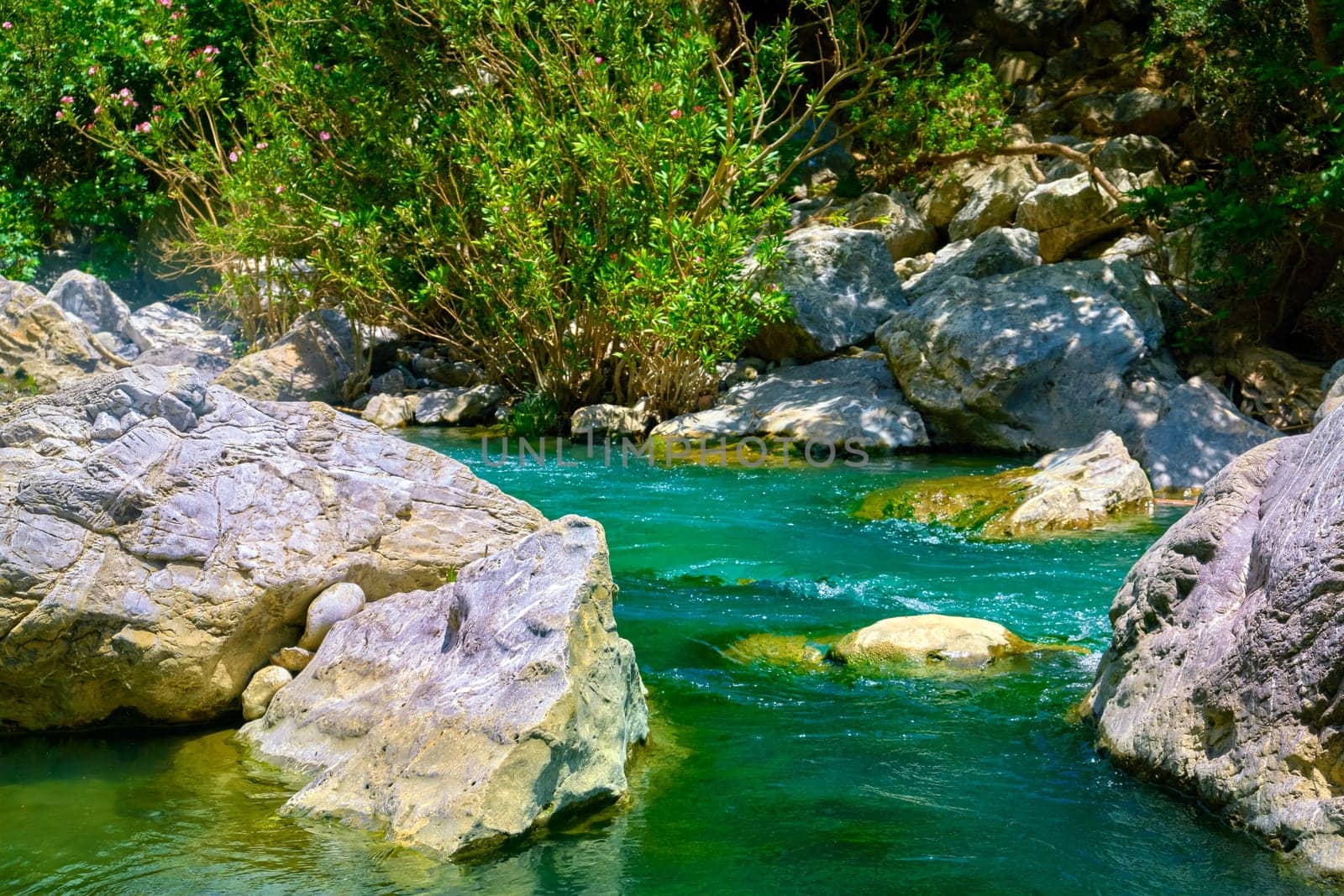 Clear cold waters of river Kourtaliotis in Preveli gorge, Crete island, Greece. Selective focus, focus on foreground, blurred background, rocks, water stream, bushes, riverbank, sunny, day, summer sunshine, vacations, hiking and trekking.