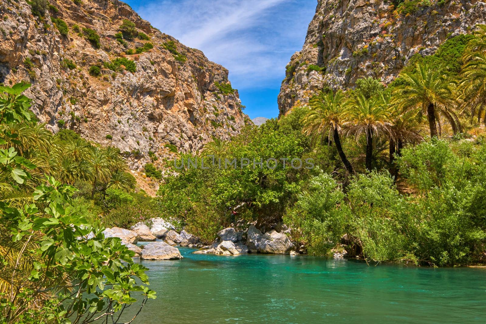 View of Kourtaliotis river and canyon near Preveli beach at Libyan sea, river and palm forest, southern Crete, Greece on clear sunny day. Travel destinations, gorge, blue sky with clouds, summer, sunshine, hiking, vacations, Mediterranean sea.