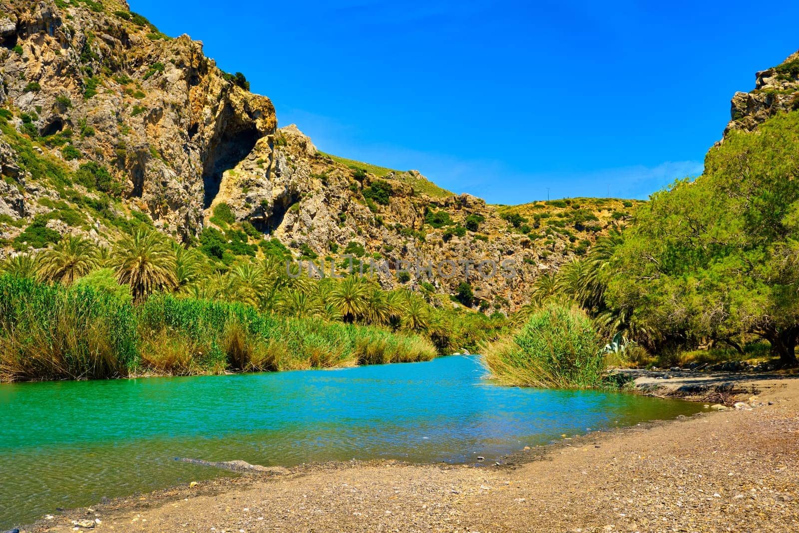 View of Kourtaliotis river and canyon near Preveli beach at Libyan sea, river and palm forest, southern Crete, Greece on clear sunny day. Travel destinations, gorge, blue sky with clouds, summer, sunshine, hiking, vacations, Mediterranean sea.
