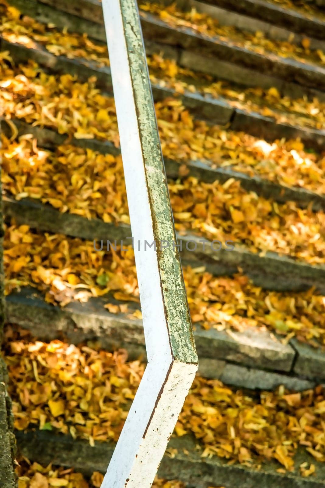 stairs with railings with fallen leaves