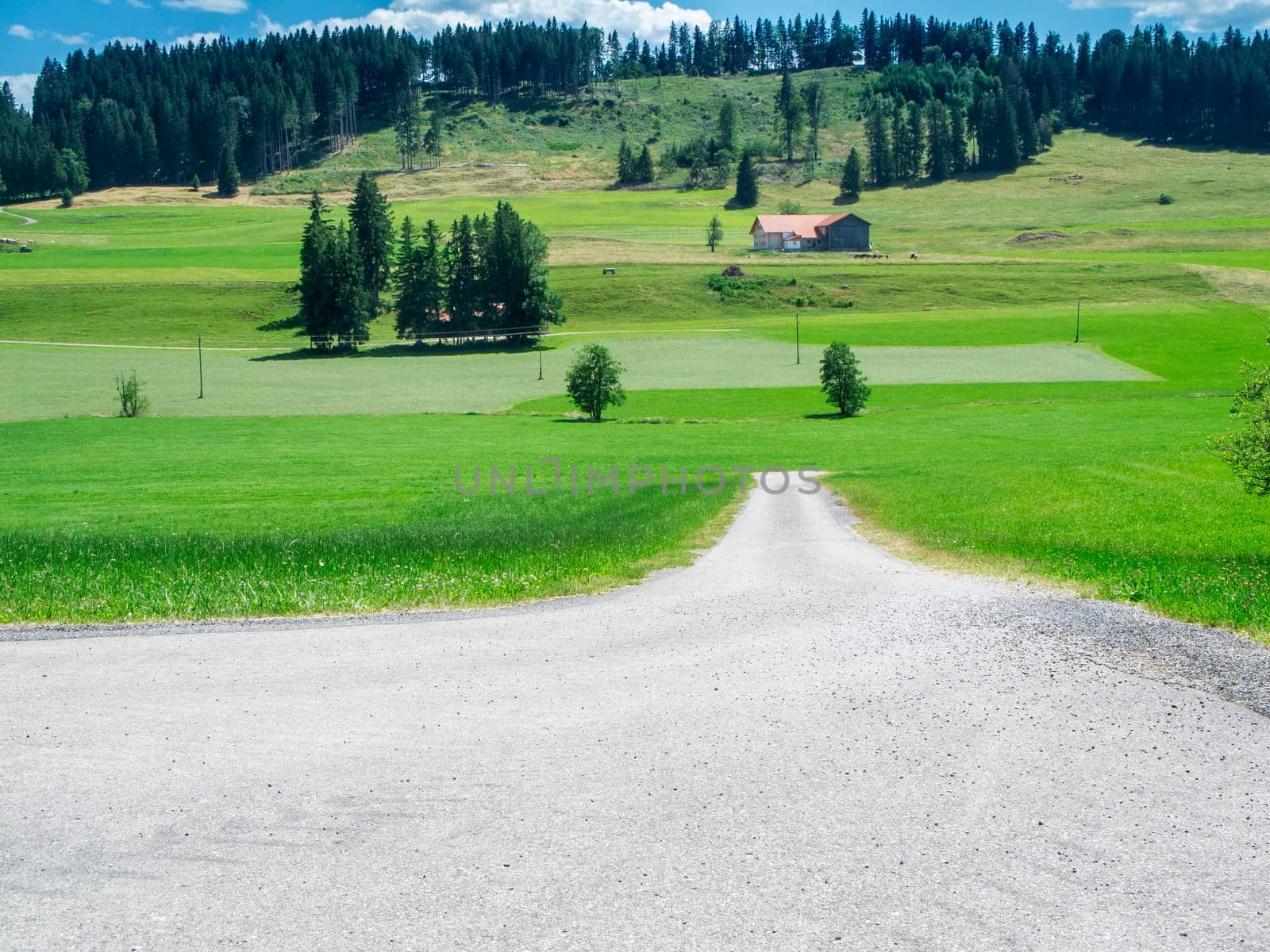 Bavarian landscape with a gravel path leading to a farm in front of a group of hills with coniferous trees.