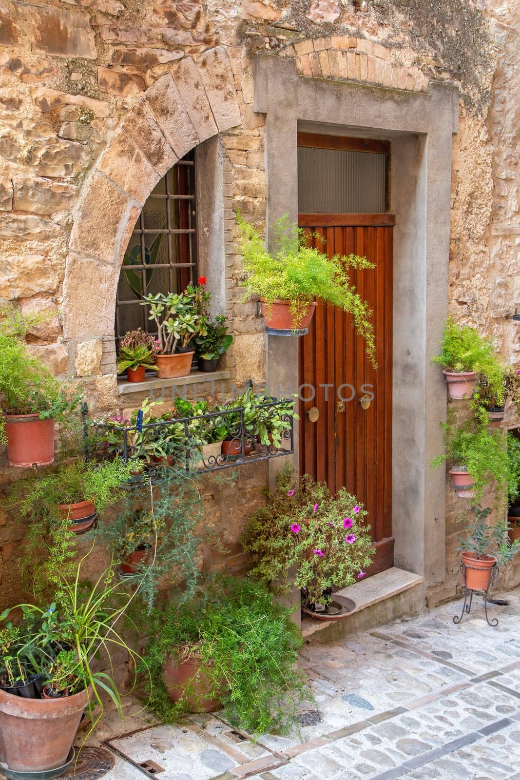 Contemporary design of wooden door pretty decorated with flowers in pots. Vertically.