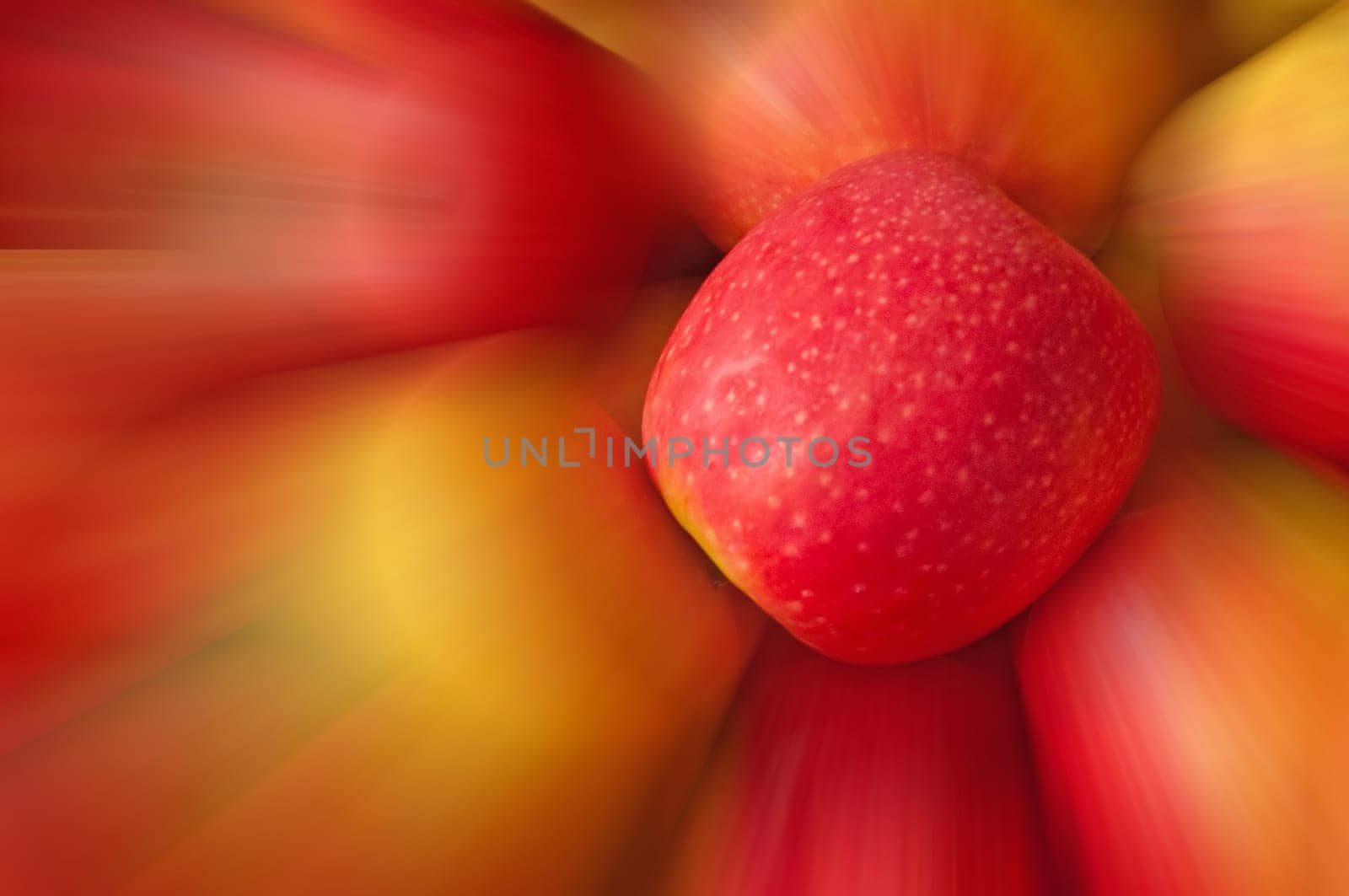 apples in a closeup with sharp center and blurred sides