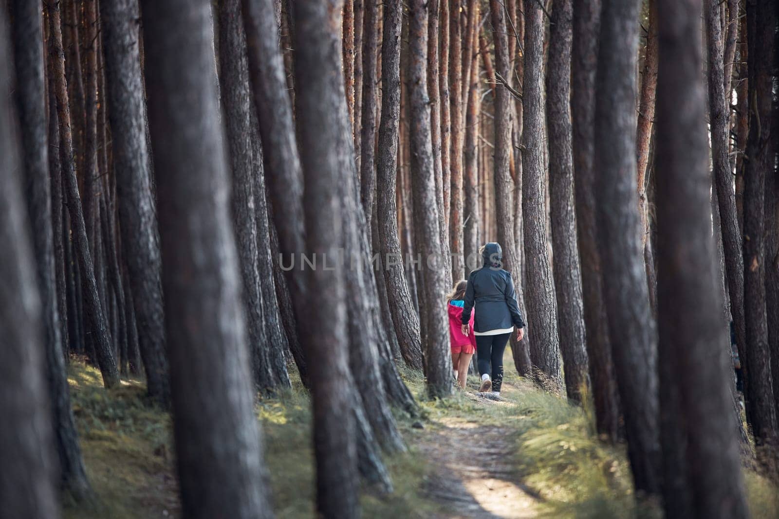 Summer vacation trip close to nature. Family walking in forest. People actively spending leisure time. Back view of woman with daughter enjoying long walk during summertime. Travel concept