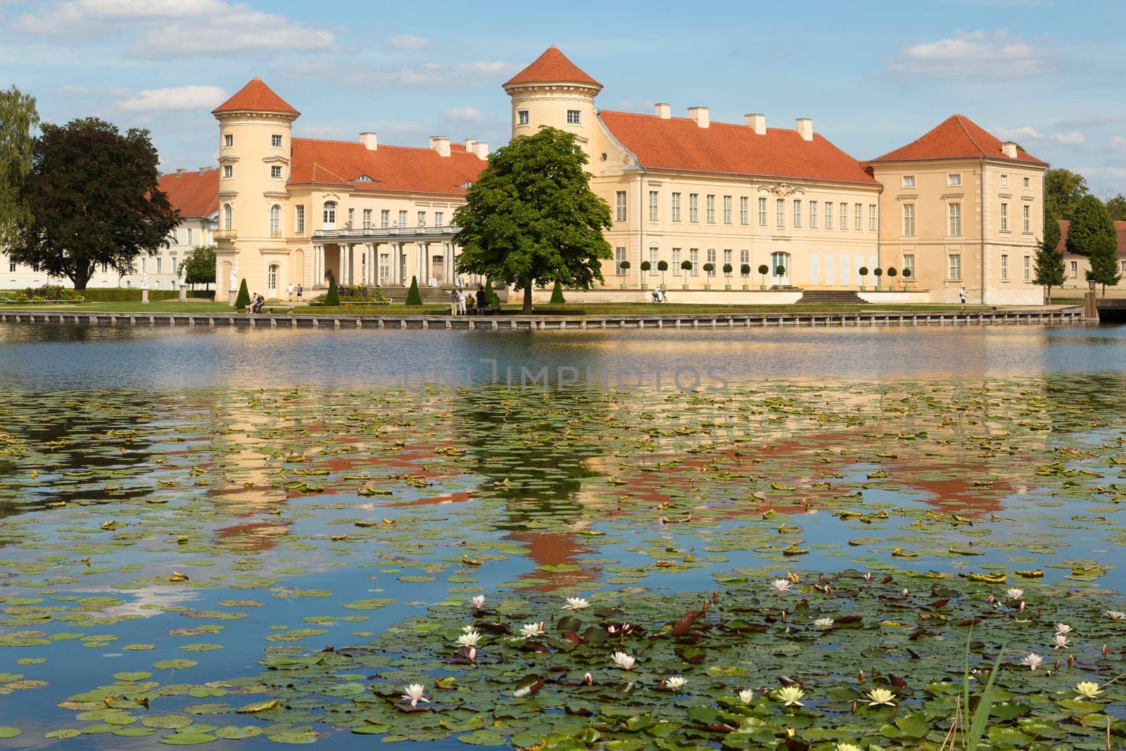 Schloss Reinsberg mit Seerosen auf dem See davor.