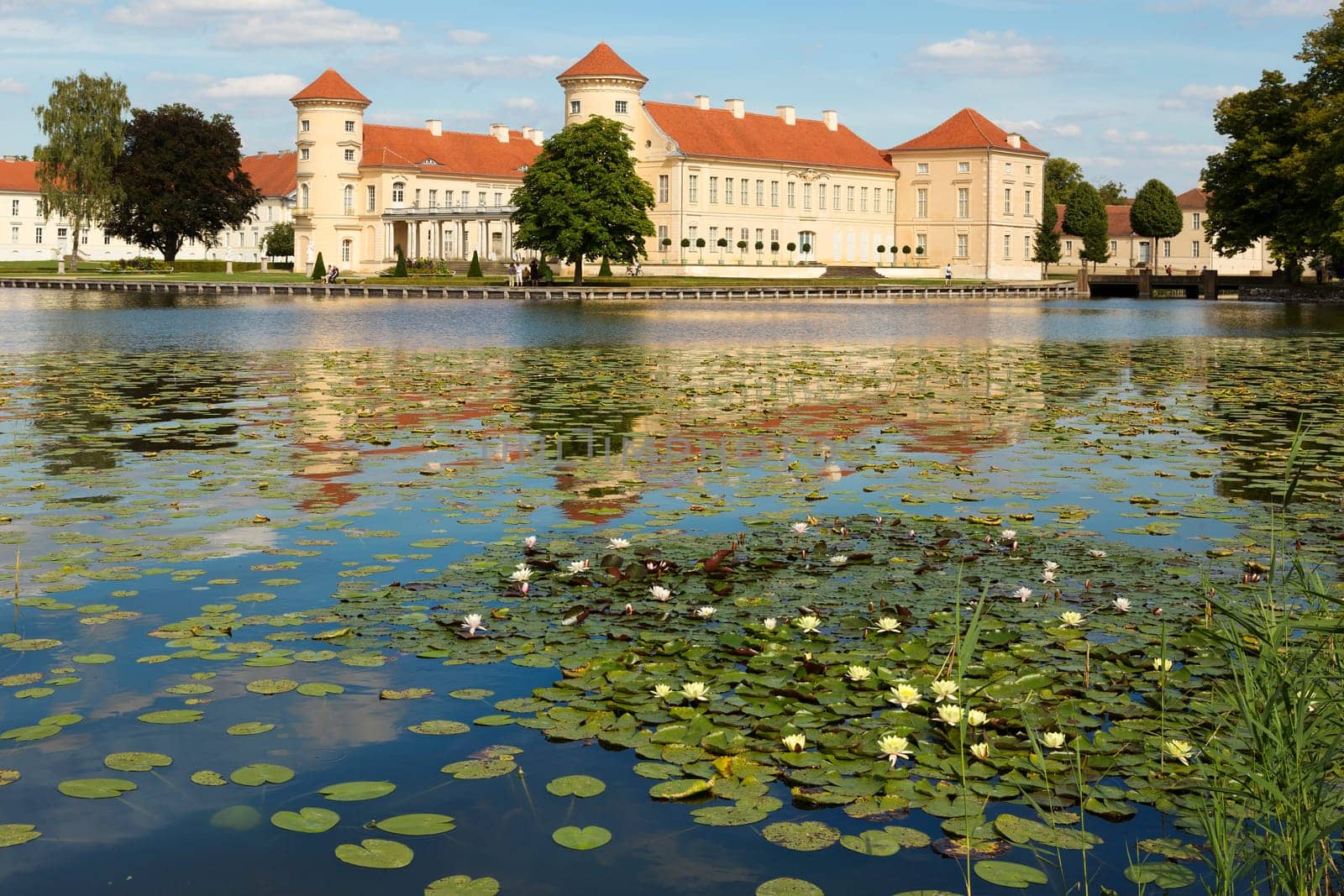 Schloss Reinsberg mit Seerosen auf dem See davor.