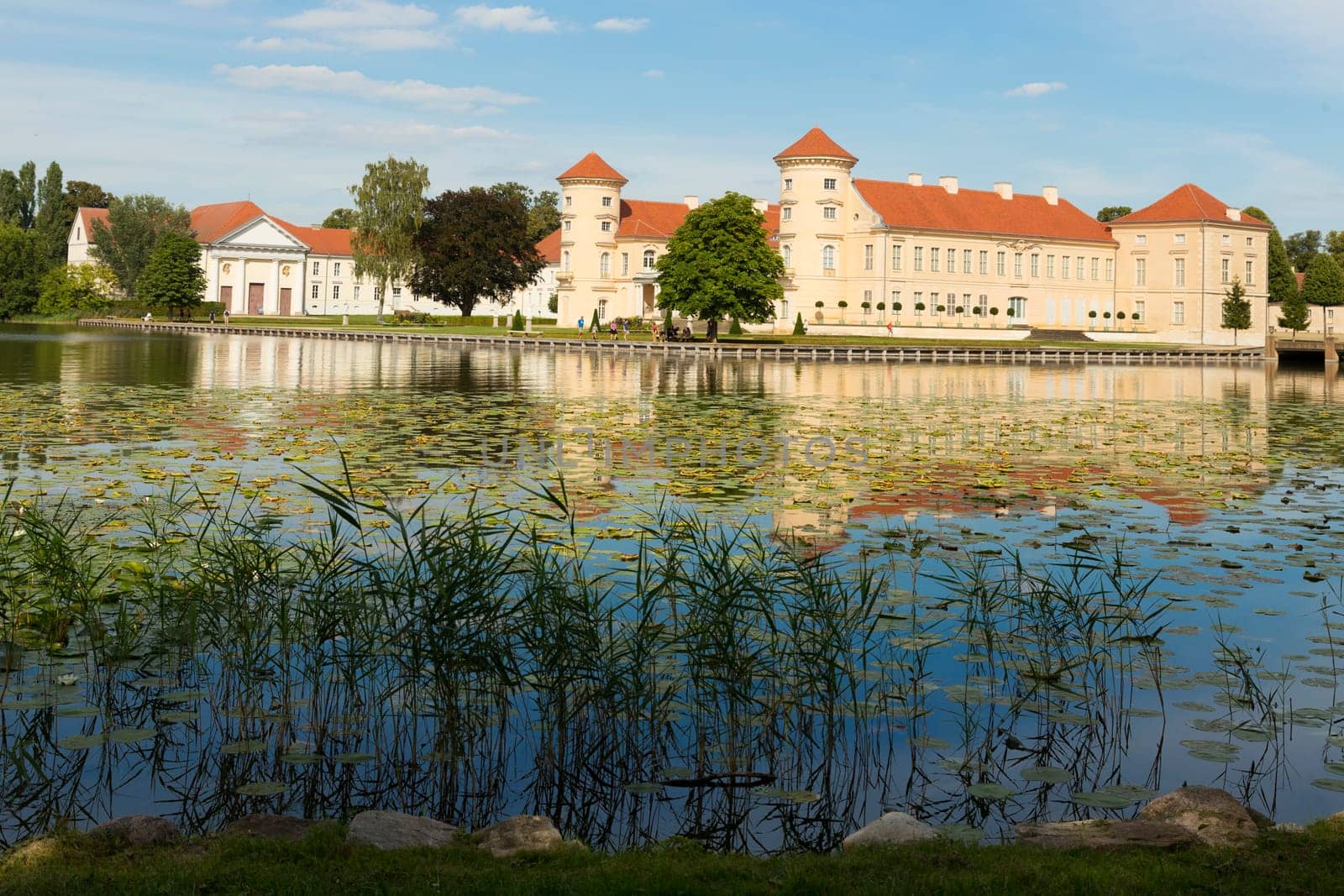 Schlif im Grinericksee vor dem Reinsberger Schloss.