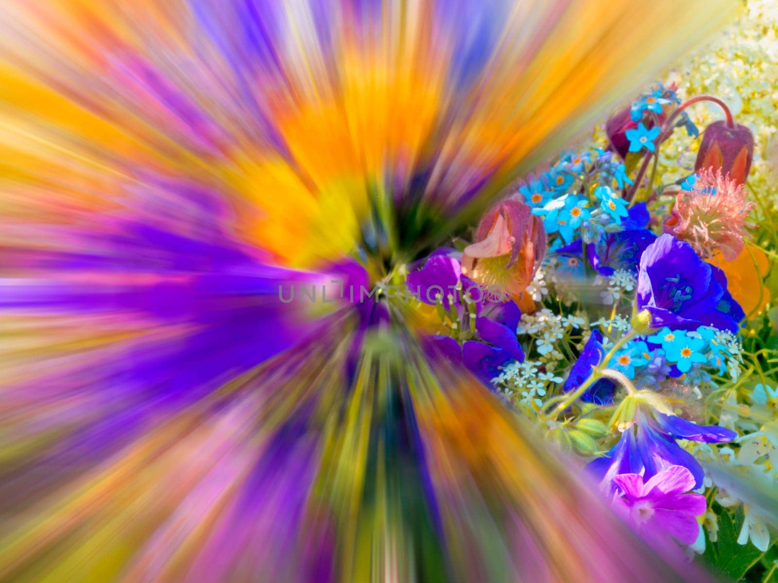 posy of flowers, partially blurred