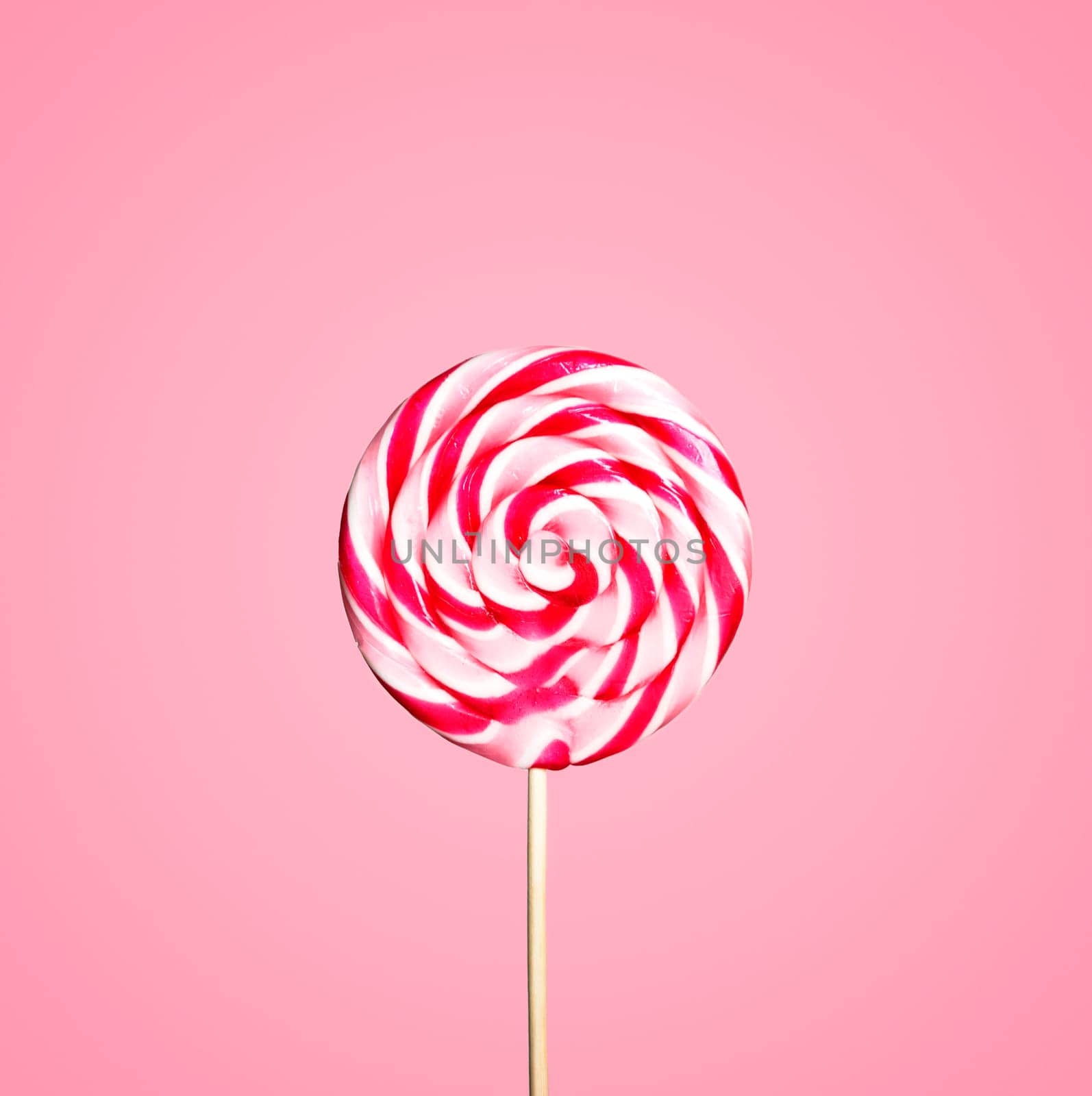 Colorful red and white lollipop candy on pastel pink background. Sweet sugar candy swirl in modern fashion style. Minimal flat lay design. Food fun for kids concept.