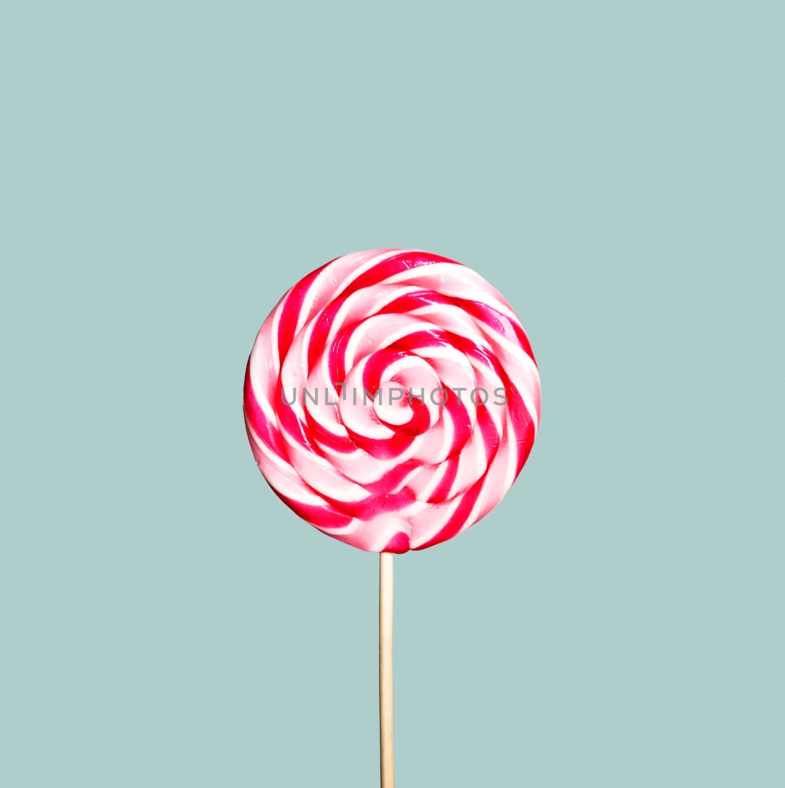 Colorful pink and white lollipop on pastel vintage blue background. Sweet sugar candy swirl in modern fashion style. Minimal flat lay design. Food fun for kids concept.