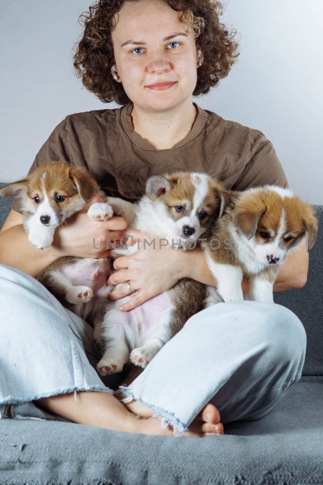 Portrait of satisfied young barefoot woman with curly dark hair wearing jeans, brown T-shirt, holding three little brown white puppies of dog welsh pembroke corgi on hands, sitting with crossed legs.