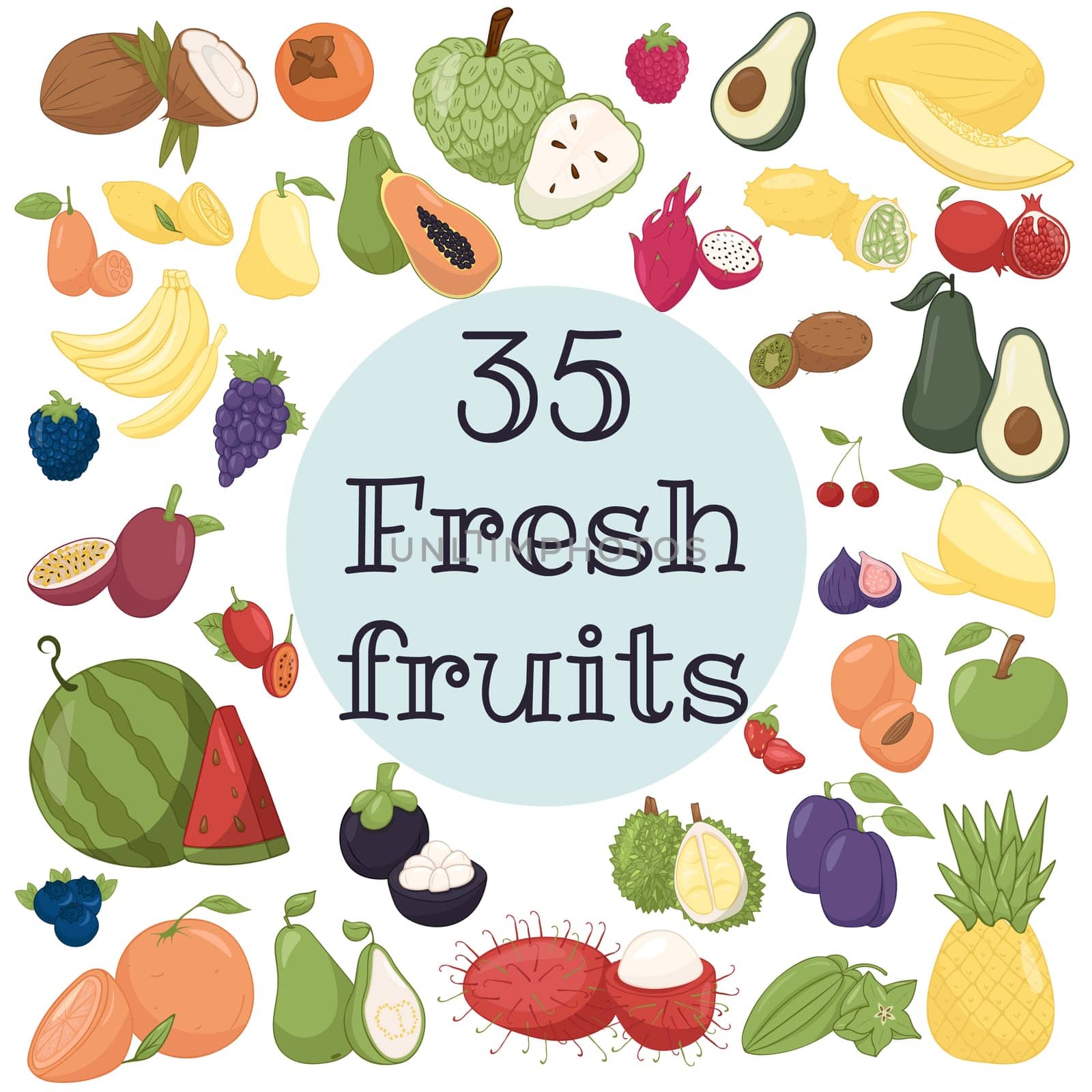 Healthy food frame vector illustration. 35 Fruits set illustration. Organic food set. Good nutrition
