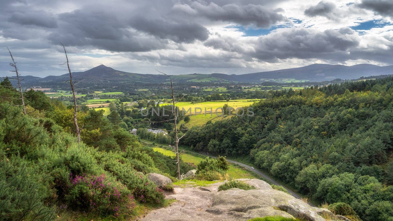 Scenic view from Lead mines viewpoint on green valley, pine forest and Sugarloaf Mountain in a distance. Hiking in Wicklow Mountains, Ireland
