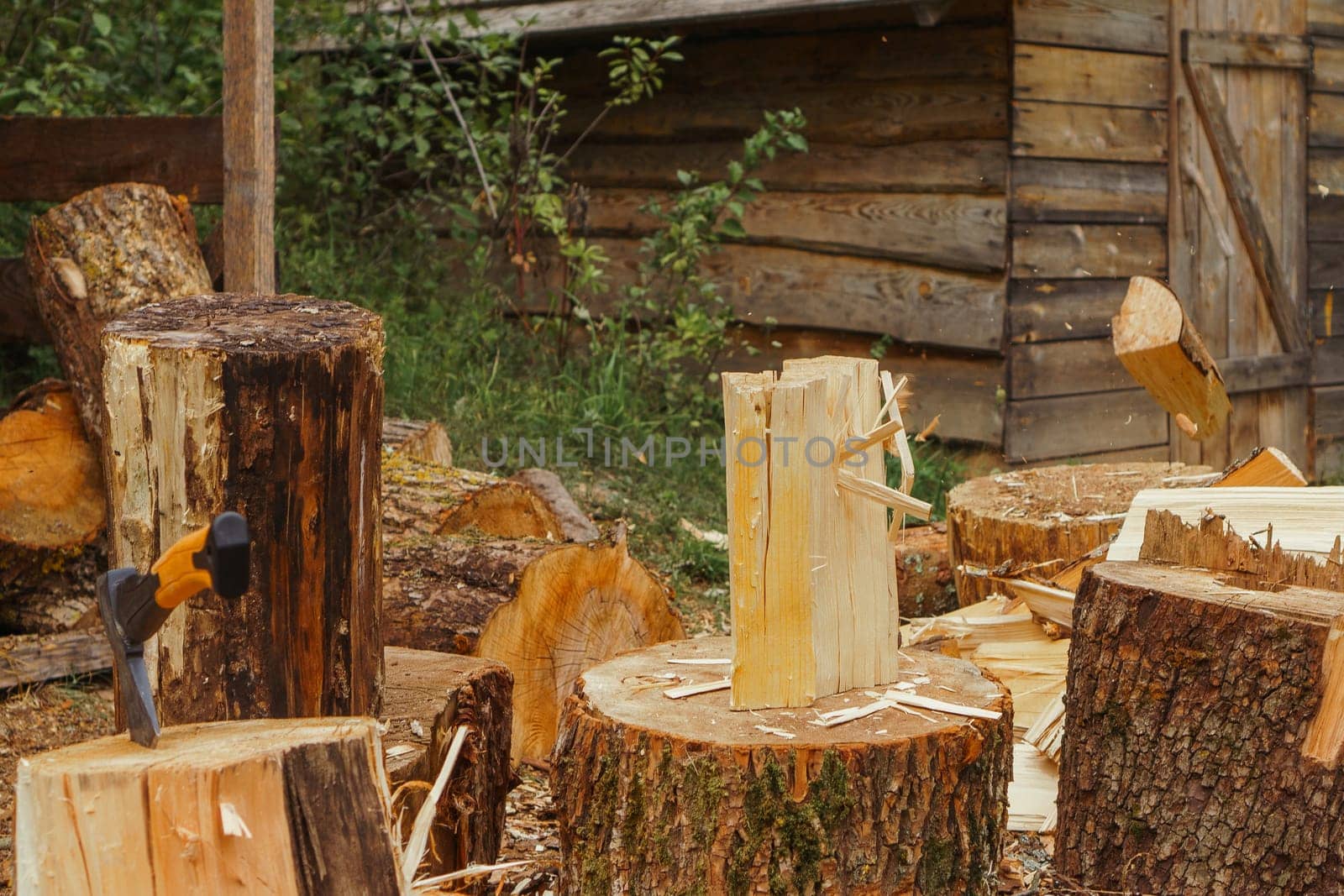 Photo capturing process of preparation wood for campfire in nature. Dry big log left on stump, surrounded by sawdust, in front of countryside house, waiting for cut with ax, driven into tree nearby.