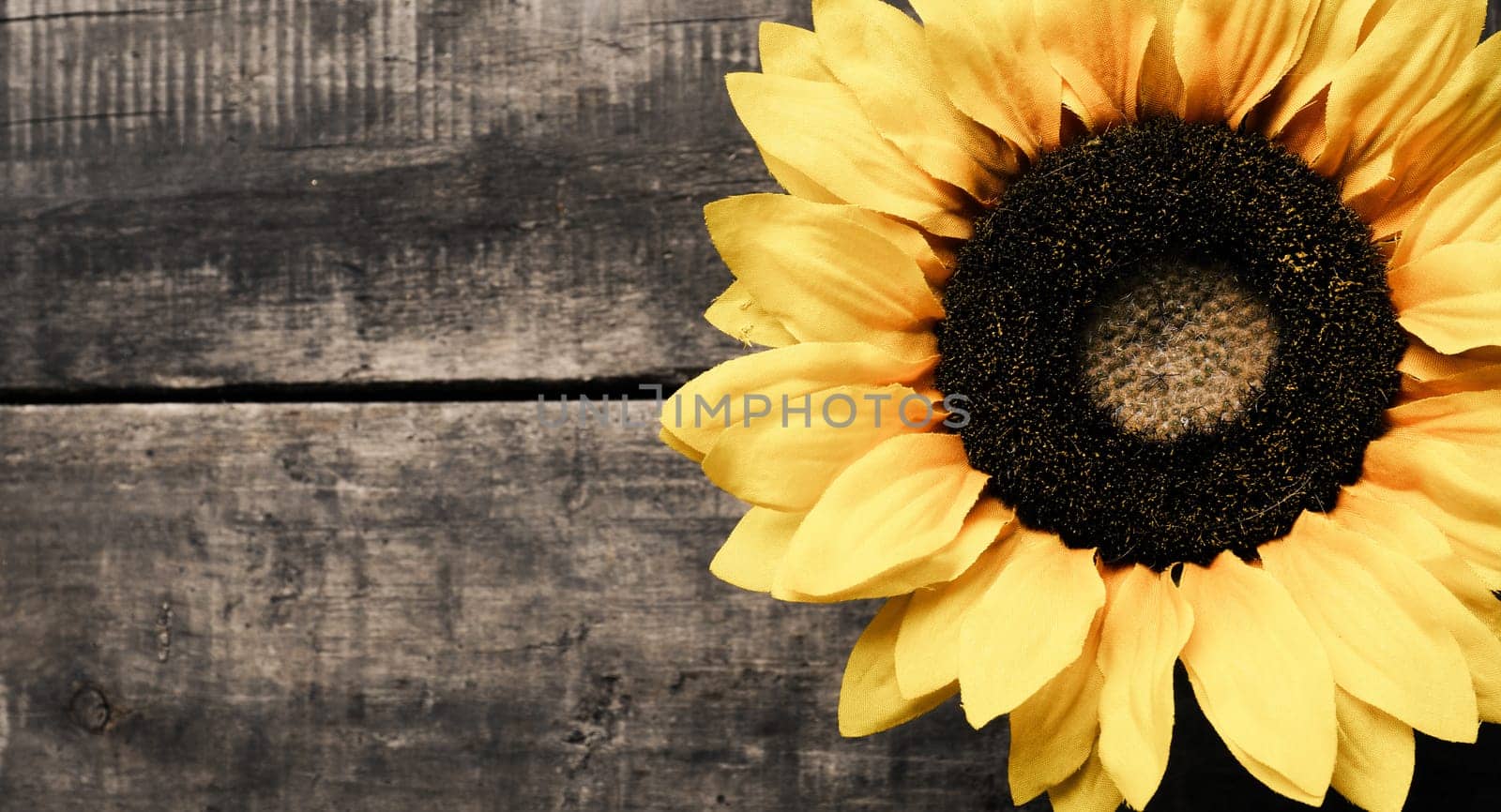 Sunflower on a wooden background with space for text or image