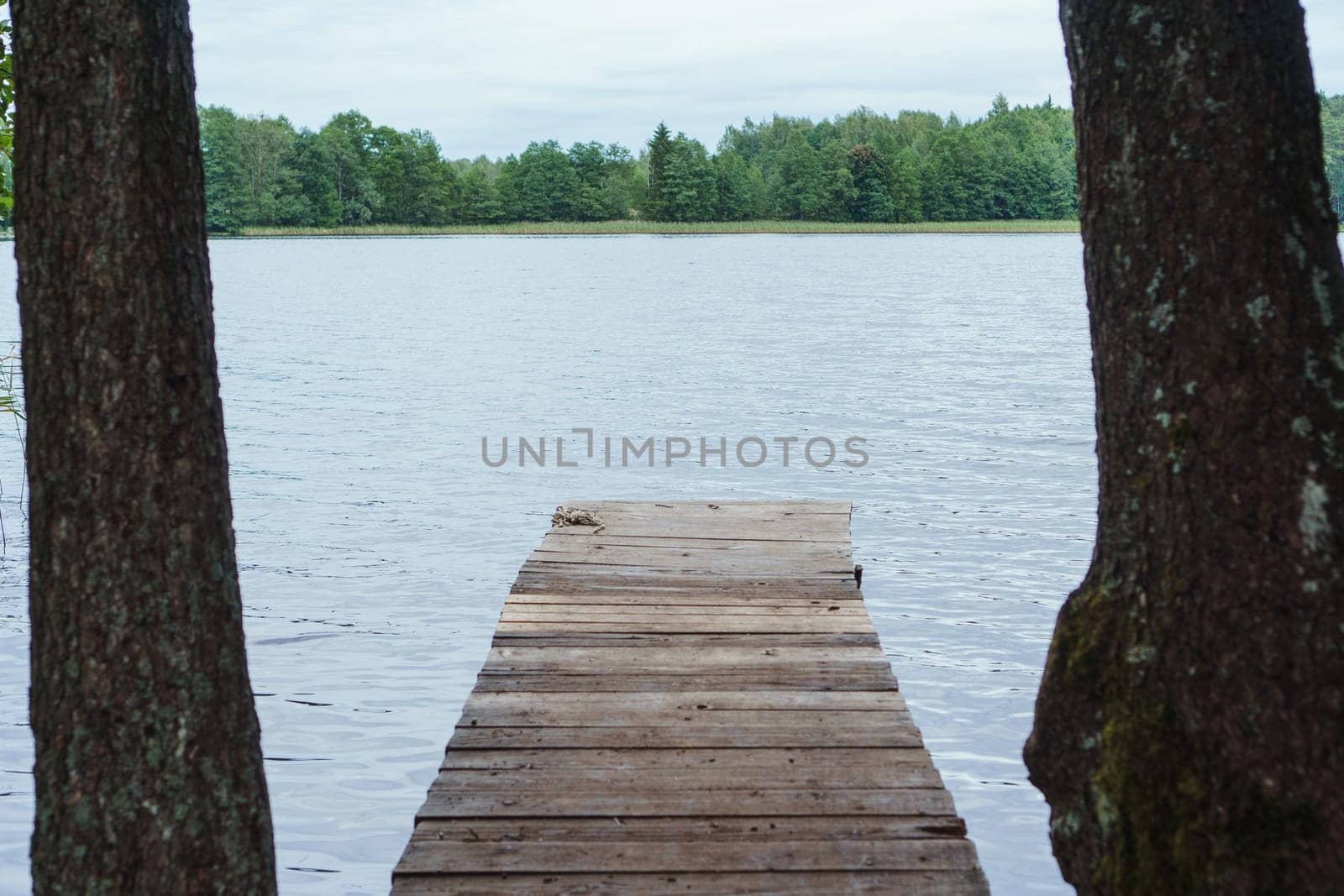 Idyllic scene of tranquile lake and green land from bridge of wooden boards standing on shore and opening fantastic views of nature. Old walkway constructed between trees showing way to serene place.