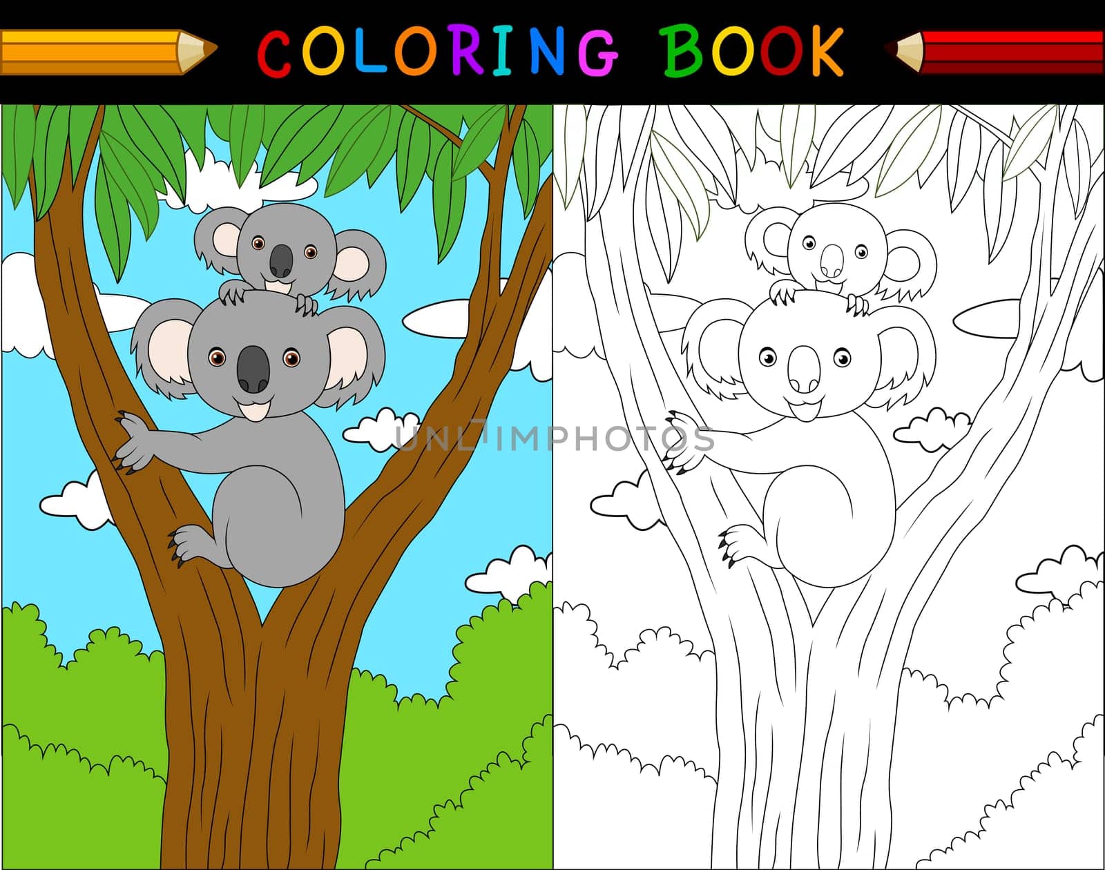 Cartoon koala coloring book, Australian animals series