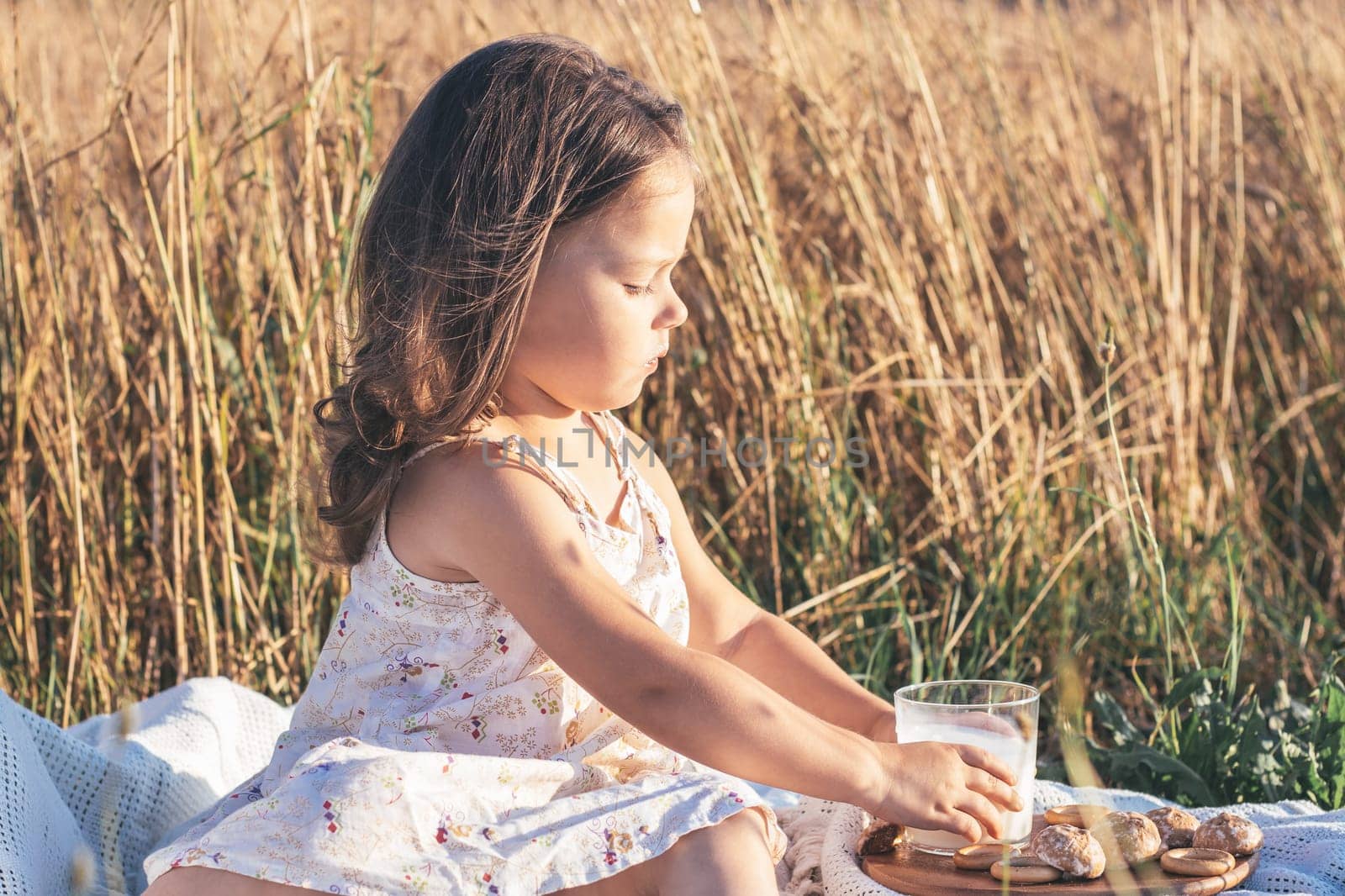 Breakfast in field. Charming little girl in light sundress is sitting on white plaid on summer day in field against background of tall cereals with glass of fresh milk and muffin. Happy Childhood.