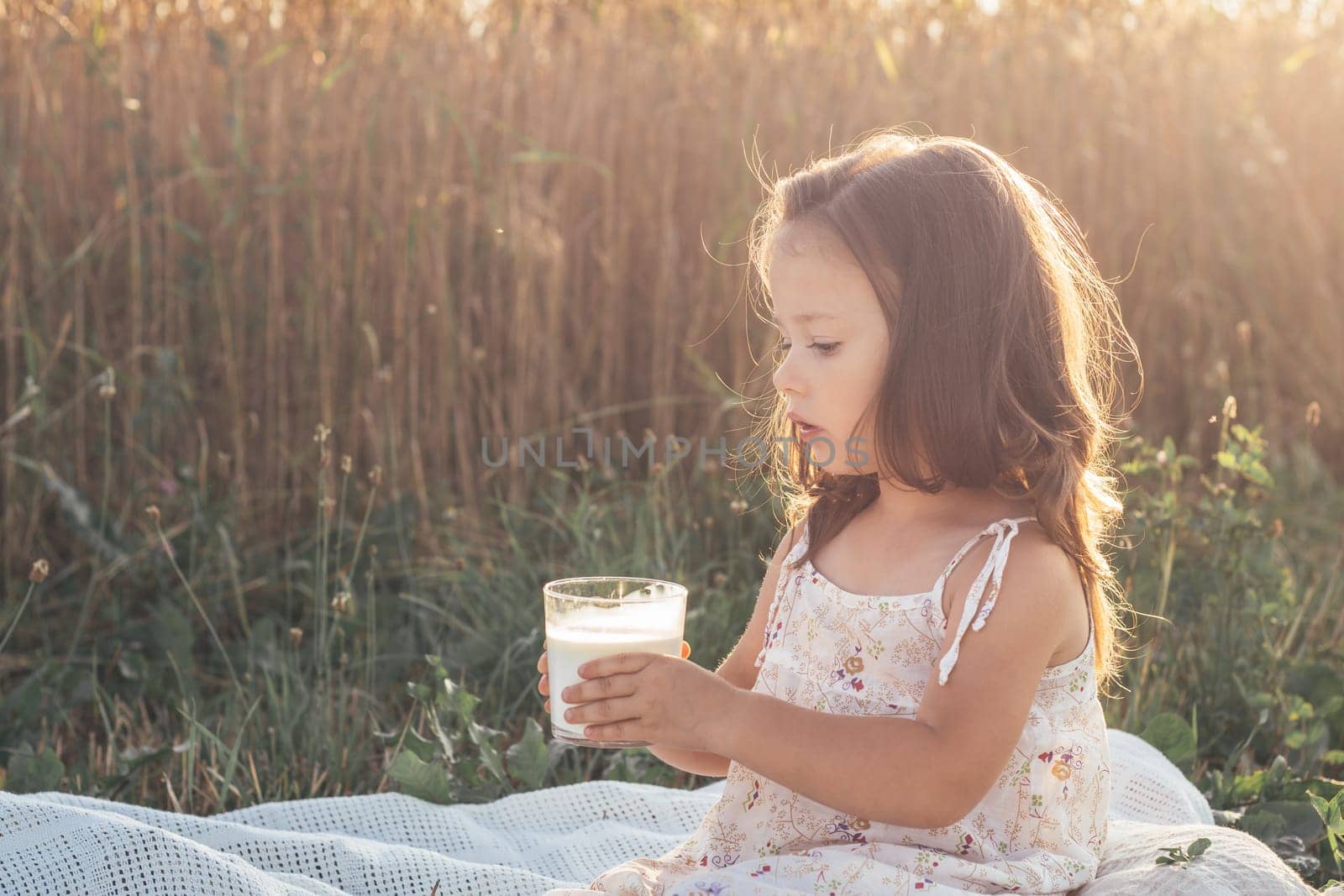 Lovely girl in light sundress is sitting on summer day in field against background of tall cereals with glass of fresh milk. Natural eco-friendly products. Happy childhood In summer in village.