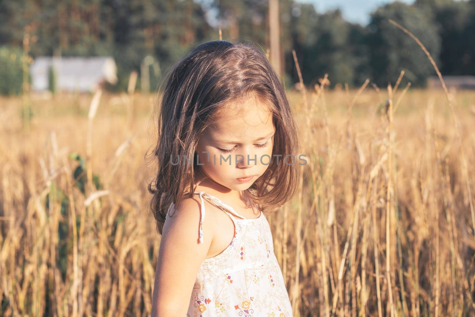 Children in village in summer. Charming little girl in light sundress made of natural fabric on summer day in field among tall cereals. Children's emotions. Happy childhood. Ecological materials.