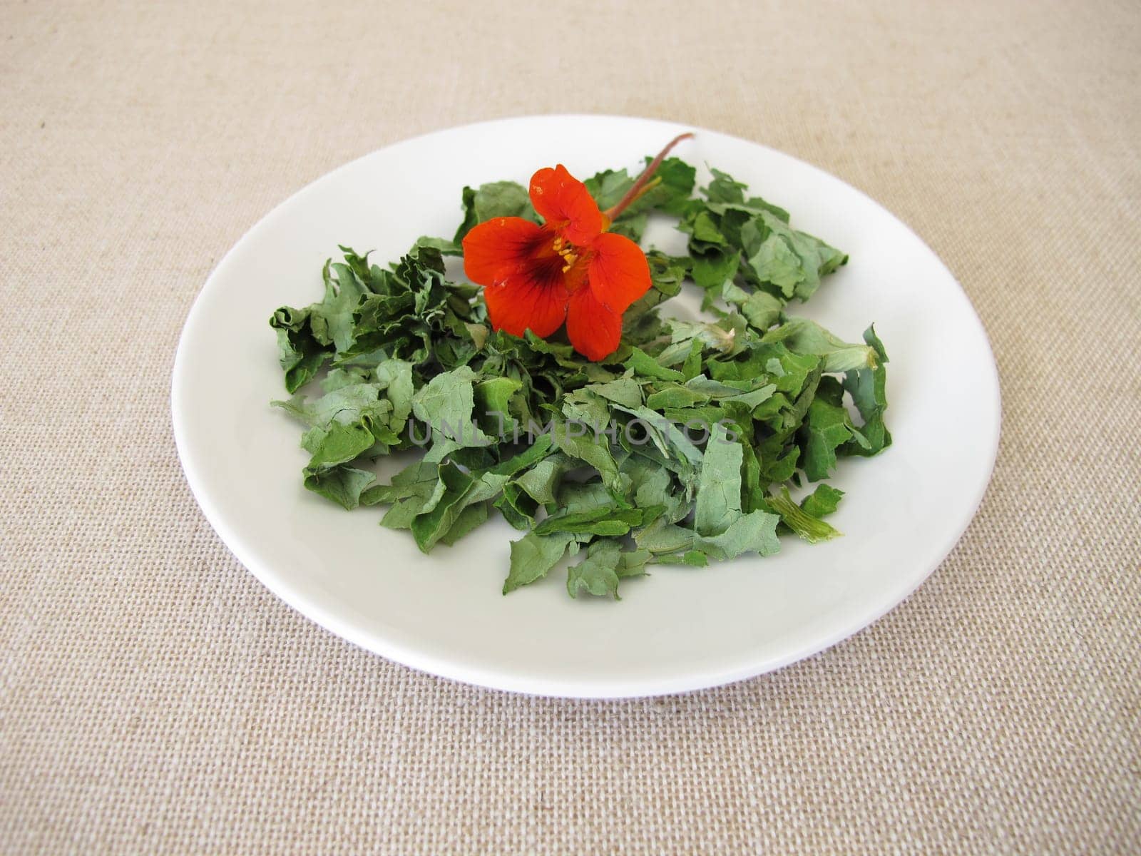 Dried garden nasturtium herbs on a white plate, Tropaeoli herba