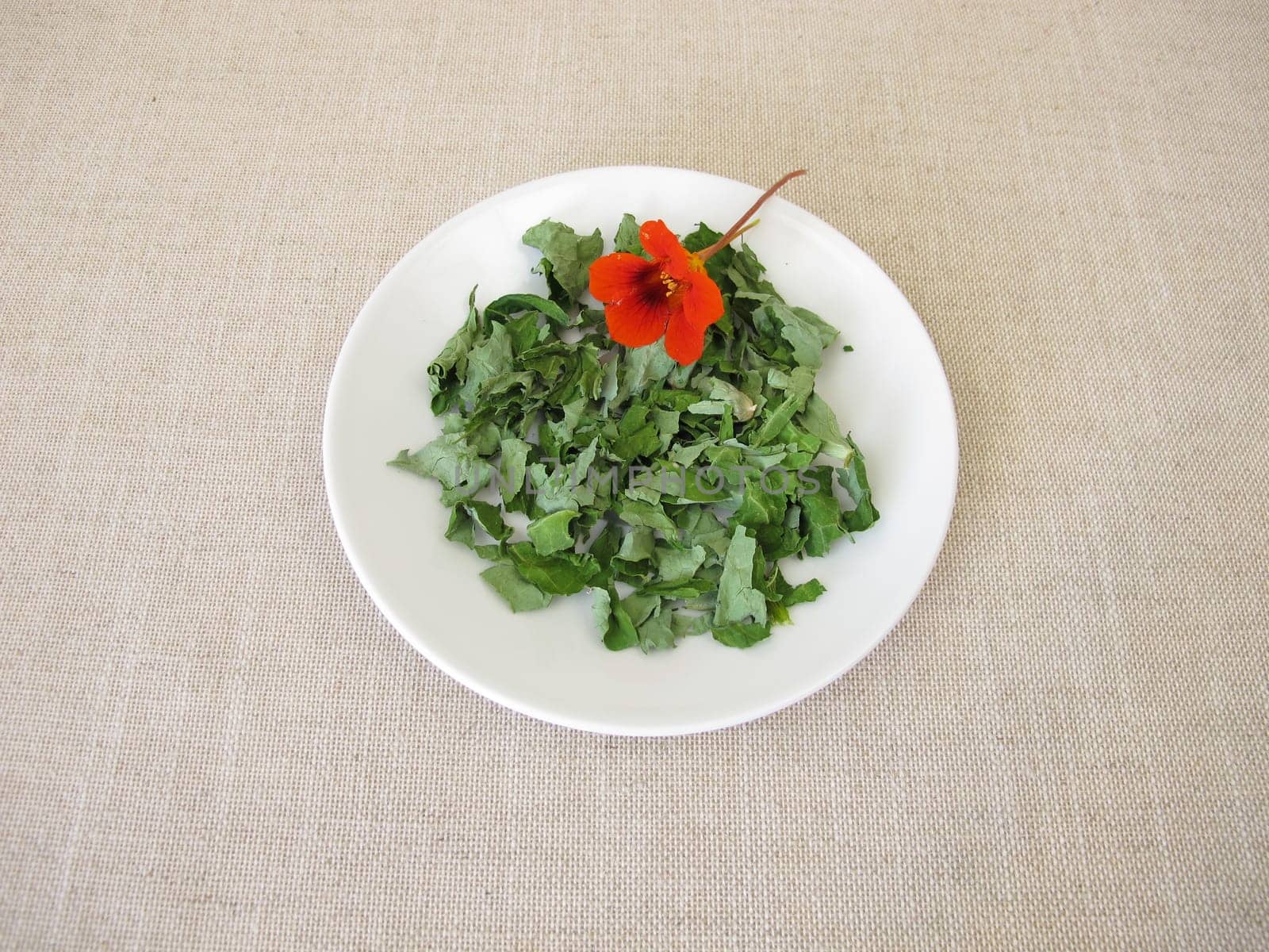 Dried garden nasturtium herbs on a white plate, Tropaeoli herba
