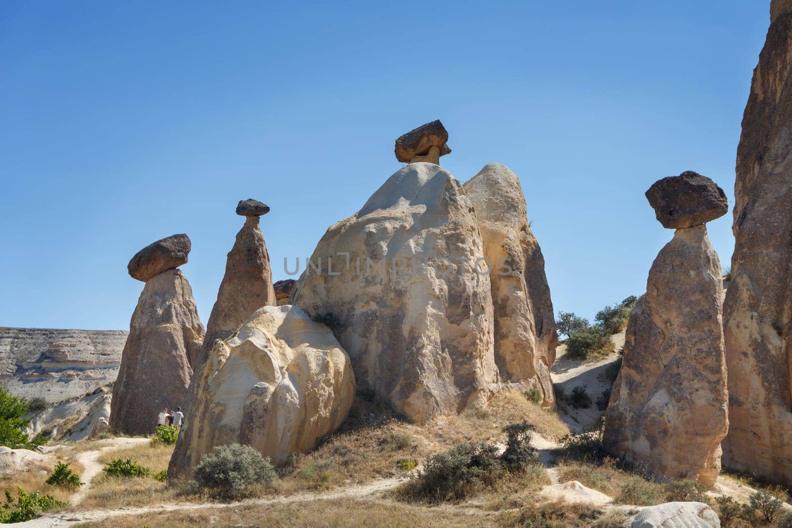 Unique geological rock formations Fairy Chimneys in Cappadocia against blue sky in summer. Popular touristic area in Goreme, Nevsehir, Turkey