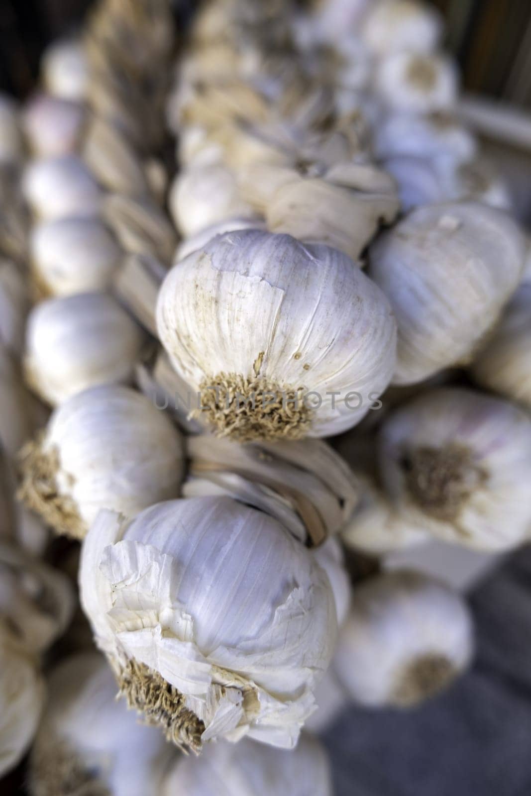 Detail of ingredient for cooking, healthy food