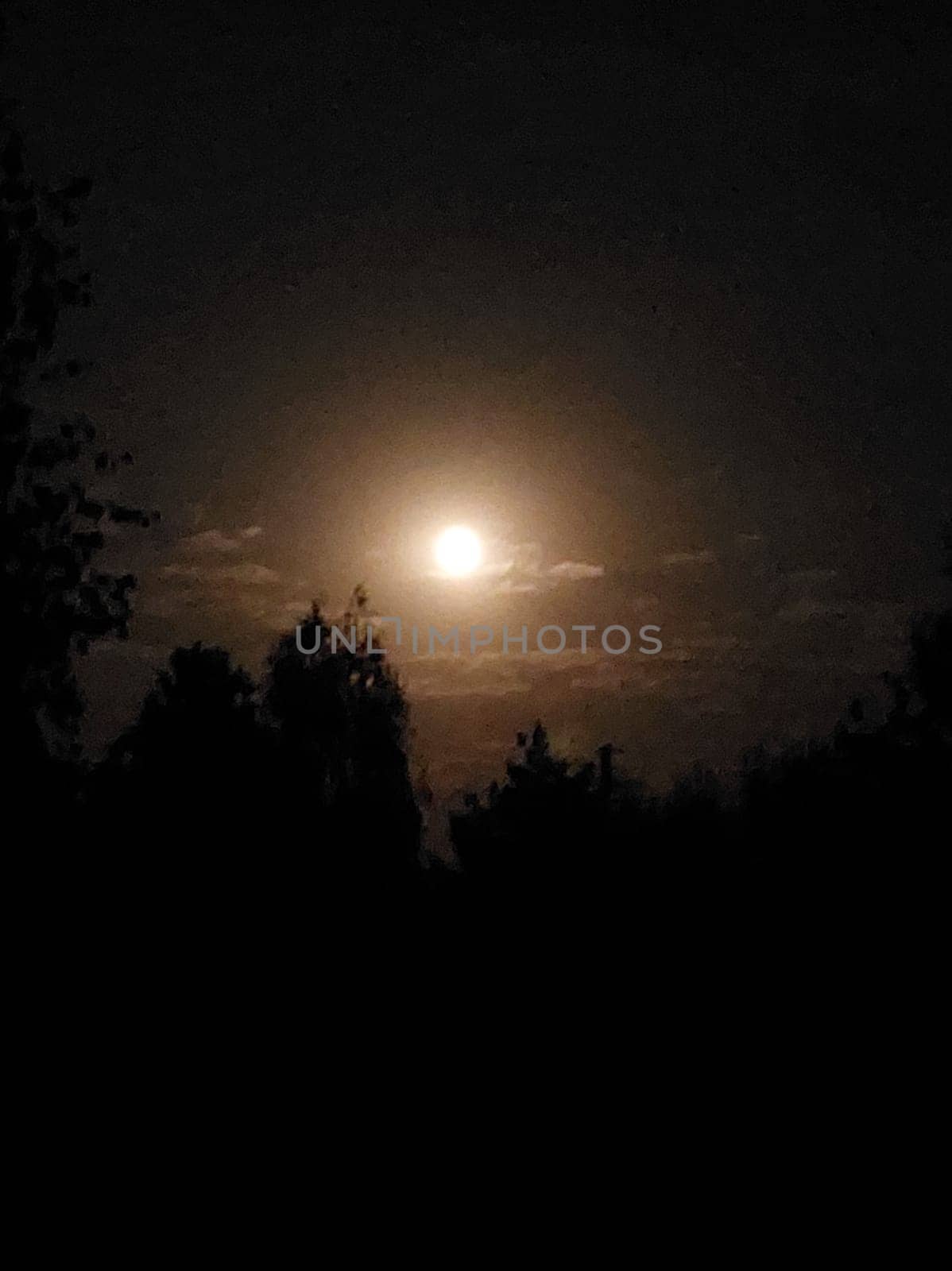Night moon in the clouds over a the village
