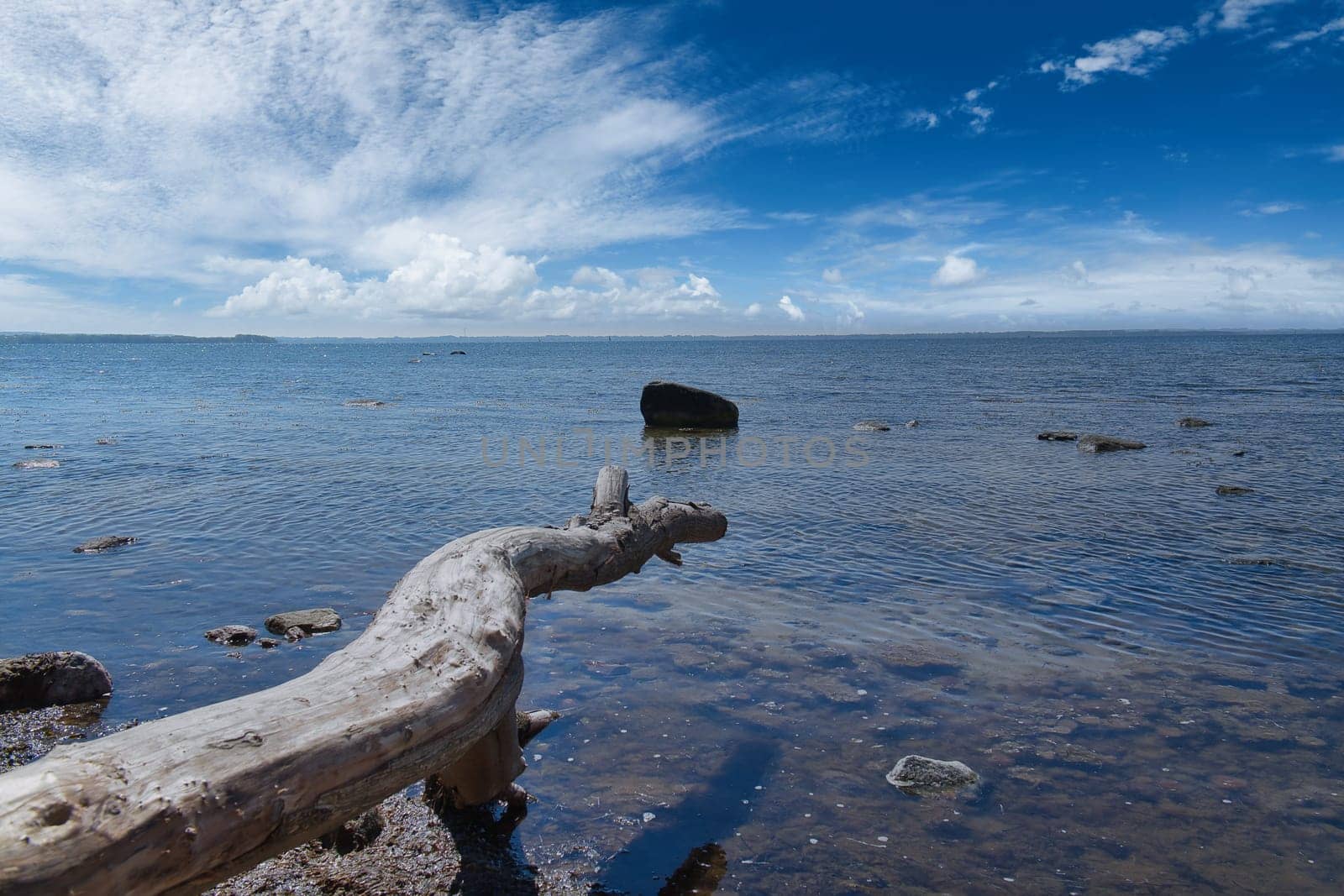 Island Poel on the Baltic Sea. Tree trunk protrudes into the Baltic Sea and casts a shadow. Stone in shallow water. Blue sky on horizon with light veil clouds. Vacation