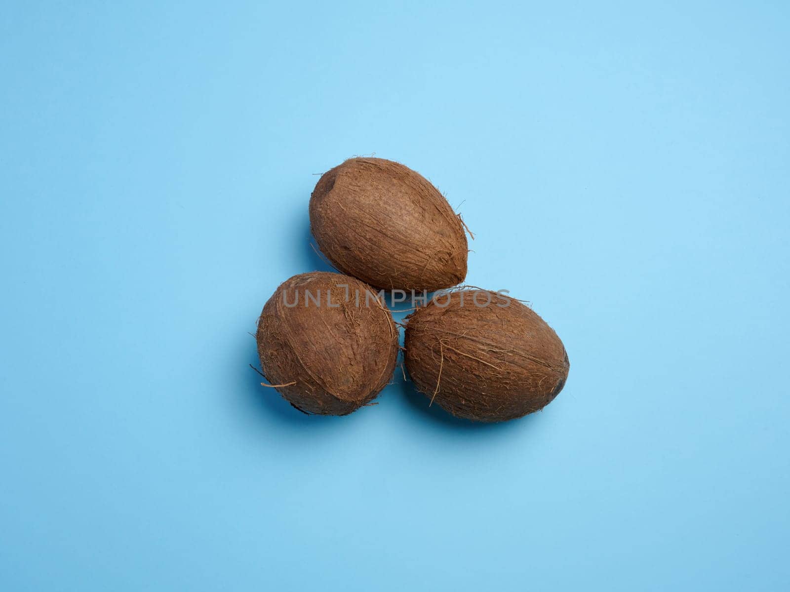 Whole coconut on blue background, top view.