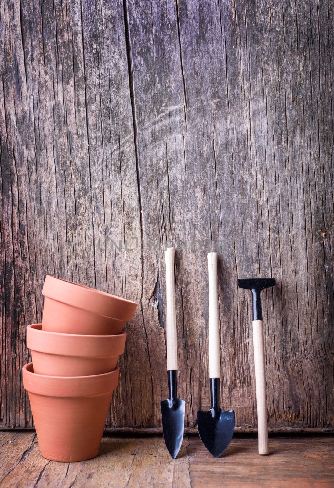 Plant clay pot and gardening tool on vintage wooden background still life. Houseplant growing hobby and spring flower care at home. Flower shop design banner. Springtime gardening concept.