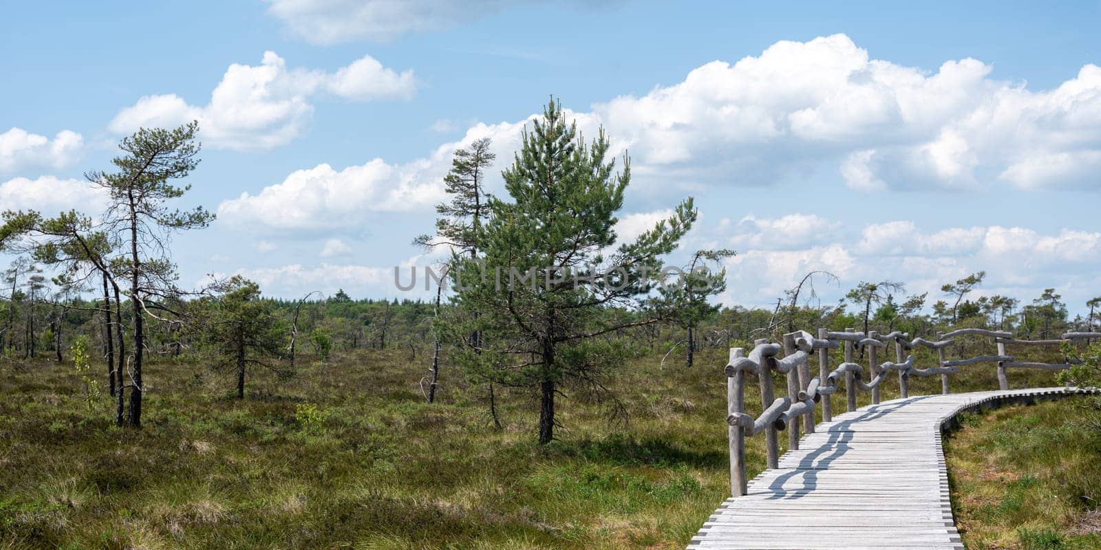 Black moor in the Rhoen, Bavaria, Germany, with a new moor  wooden path