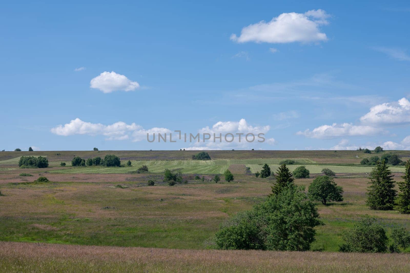 Landscape in the high Rhoen, Bavaria, Germany