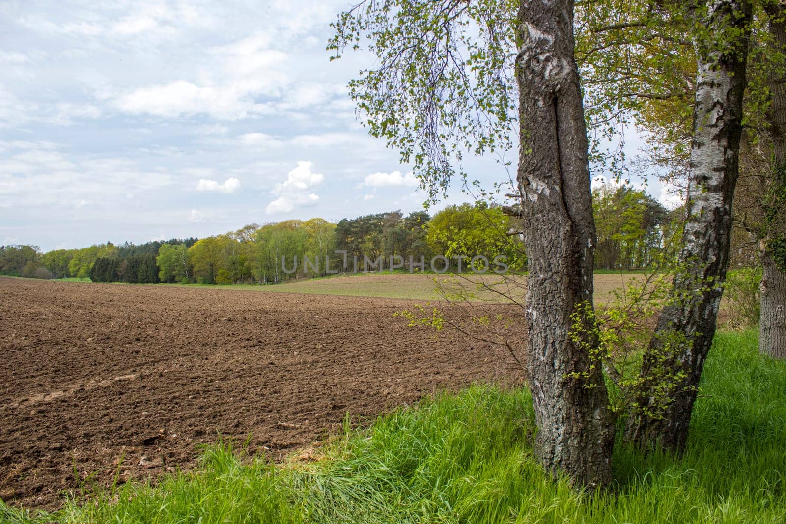 German countryside landscape, Lower Rhine Region, Germany