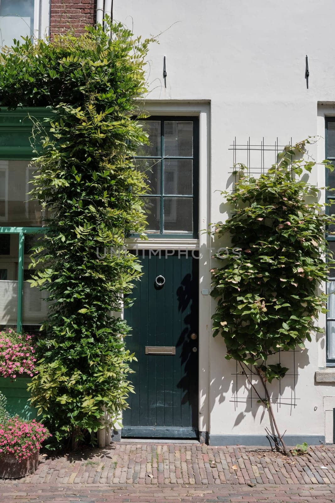 Beautiful ornate front door on a house in the Netherlands