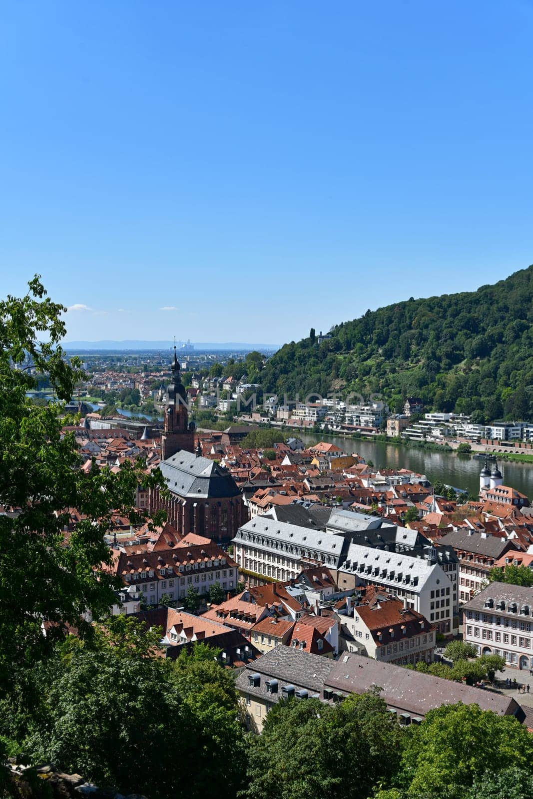 Heidelberg