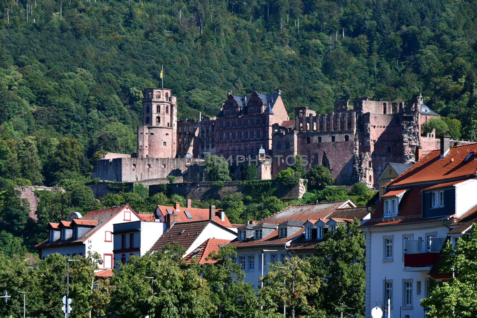 Heidelberg