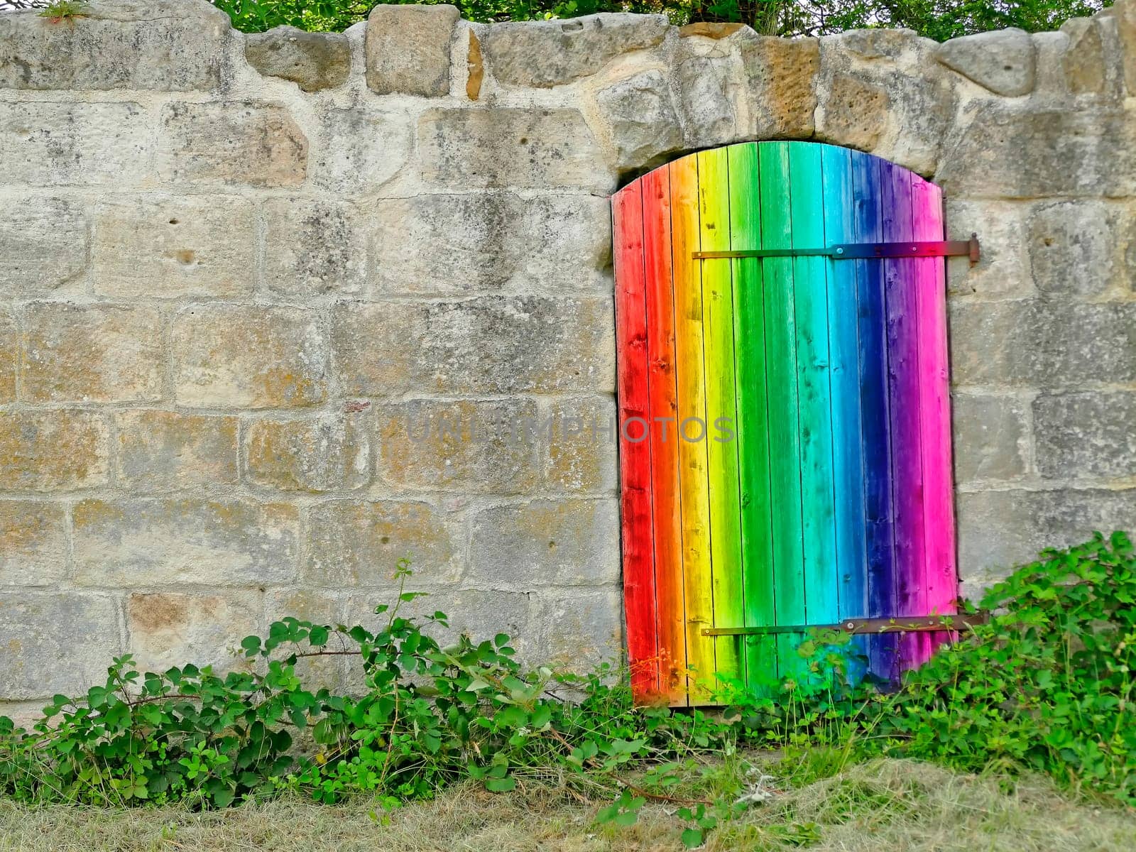 Old wooden door in LGBTQ colors