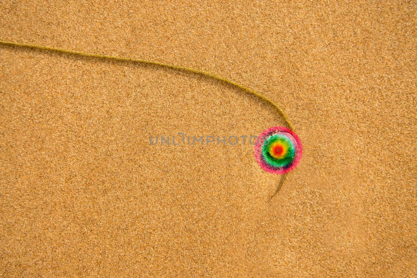Sand of a beach with pebble and alga thread with a rainbow circle