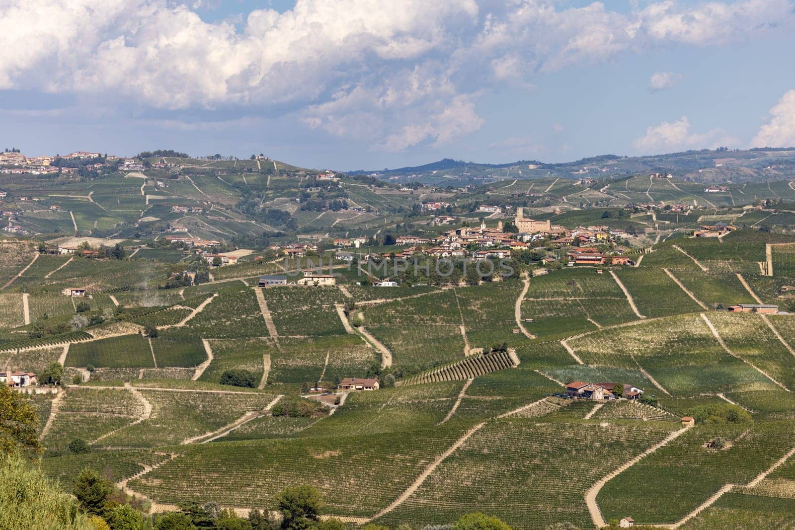 View of Langhe vineyards from La Morra,  UNESCO Site, Piedmont, Italy