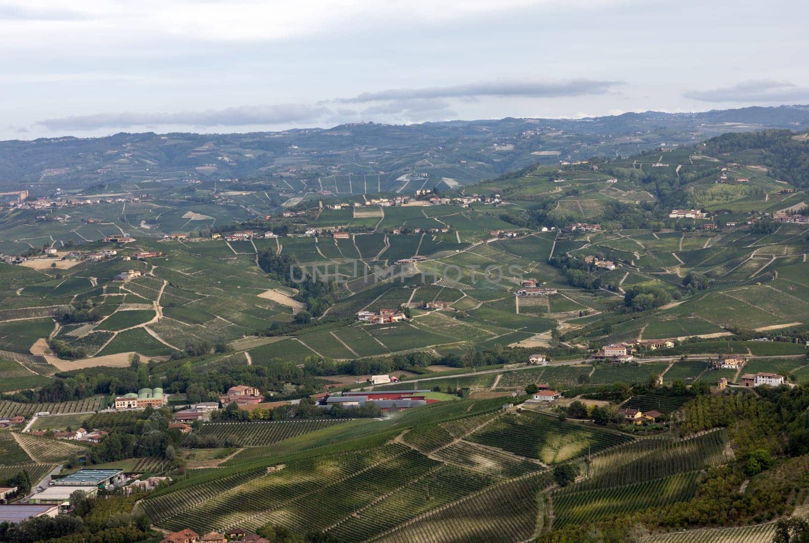 Langhe vineyards near Barolo and La Morra, Unesco Site, Piedmont, Italy